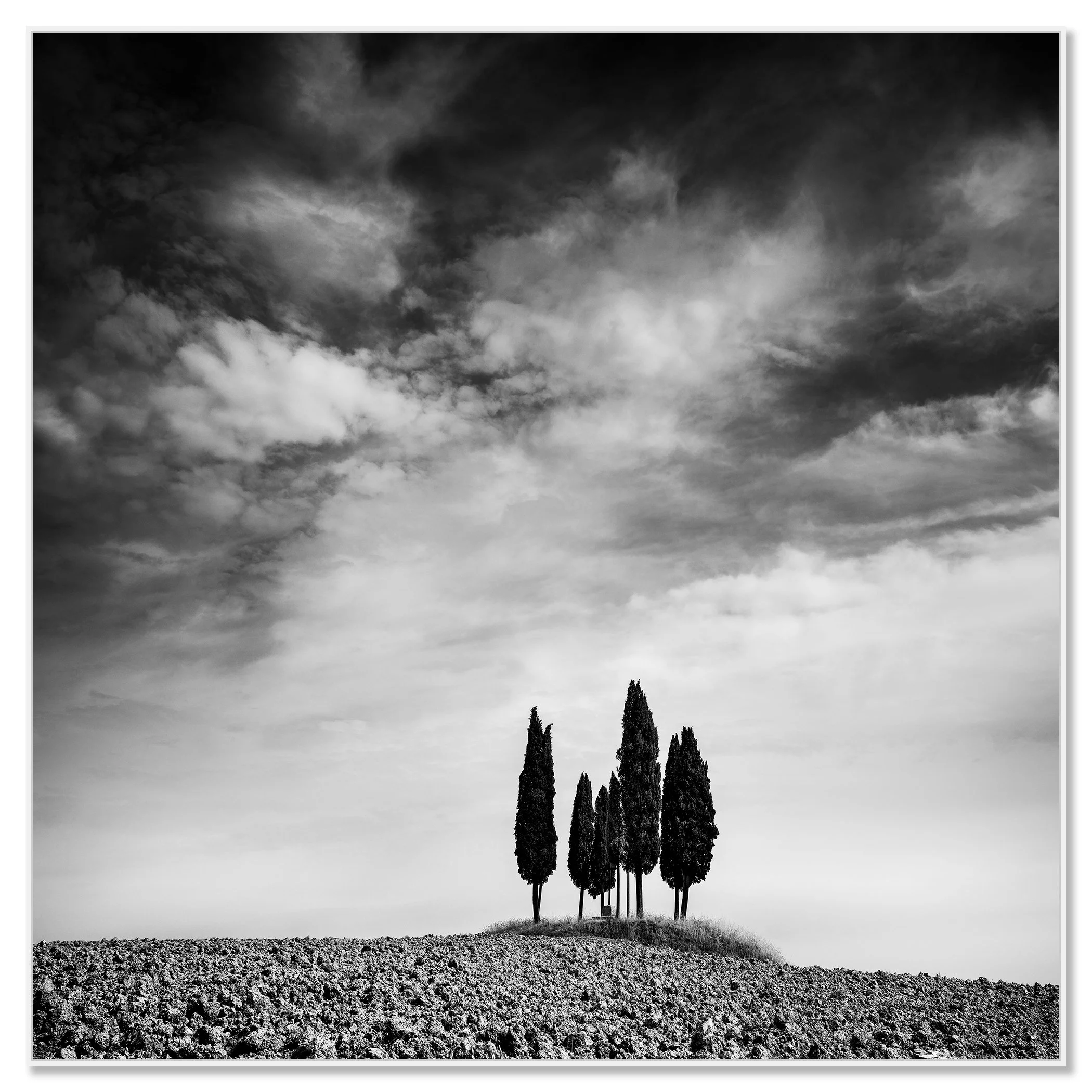 Black and white landscape photo of cypress trees on a small hill beneath dramatic clouds – framed ArtBox white
