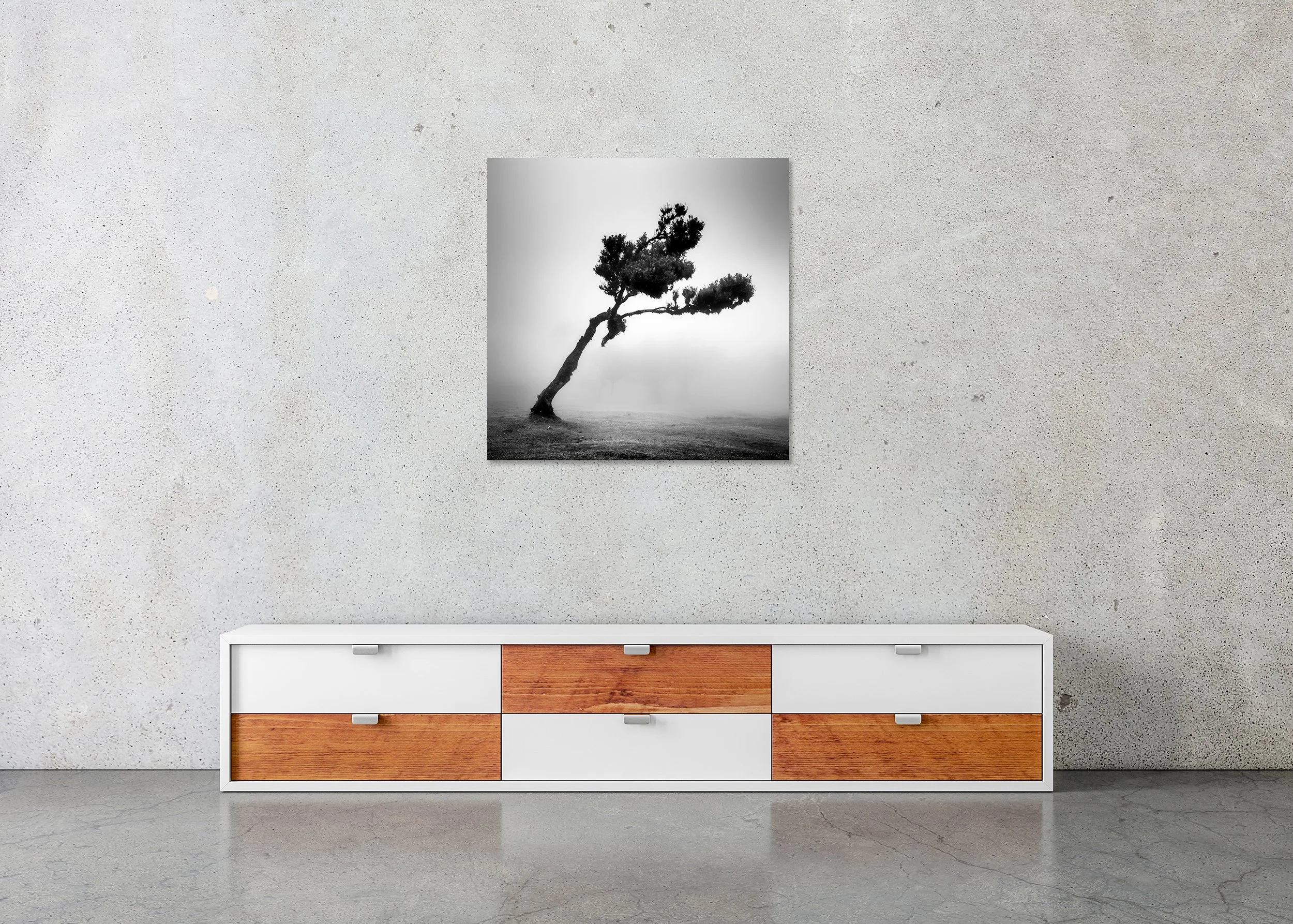 Minimal monochrome print of a bent tree emerging from thick mist in an open field, photo print mounted to Dibond, frameless.