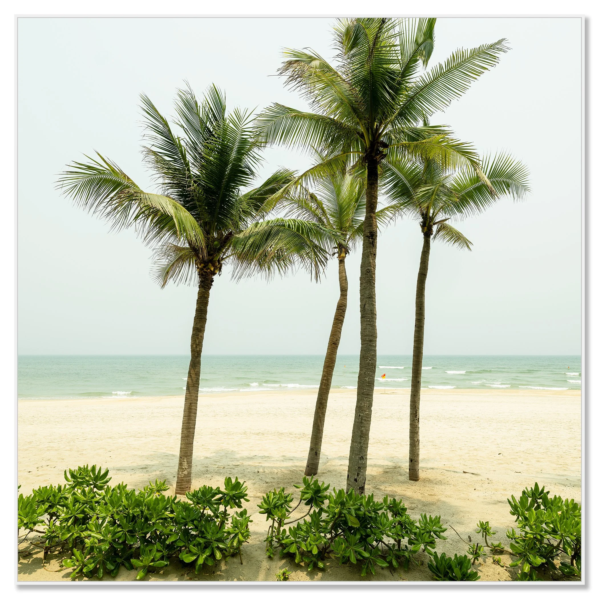 Turquoise Water with Palm Trees Study 1 mounted on aluminium Dibond in a white ArtBox frame by Gerald Berghammer.