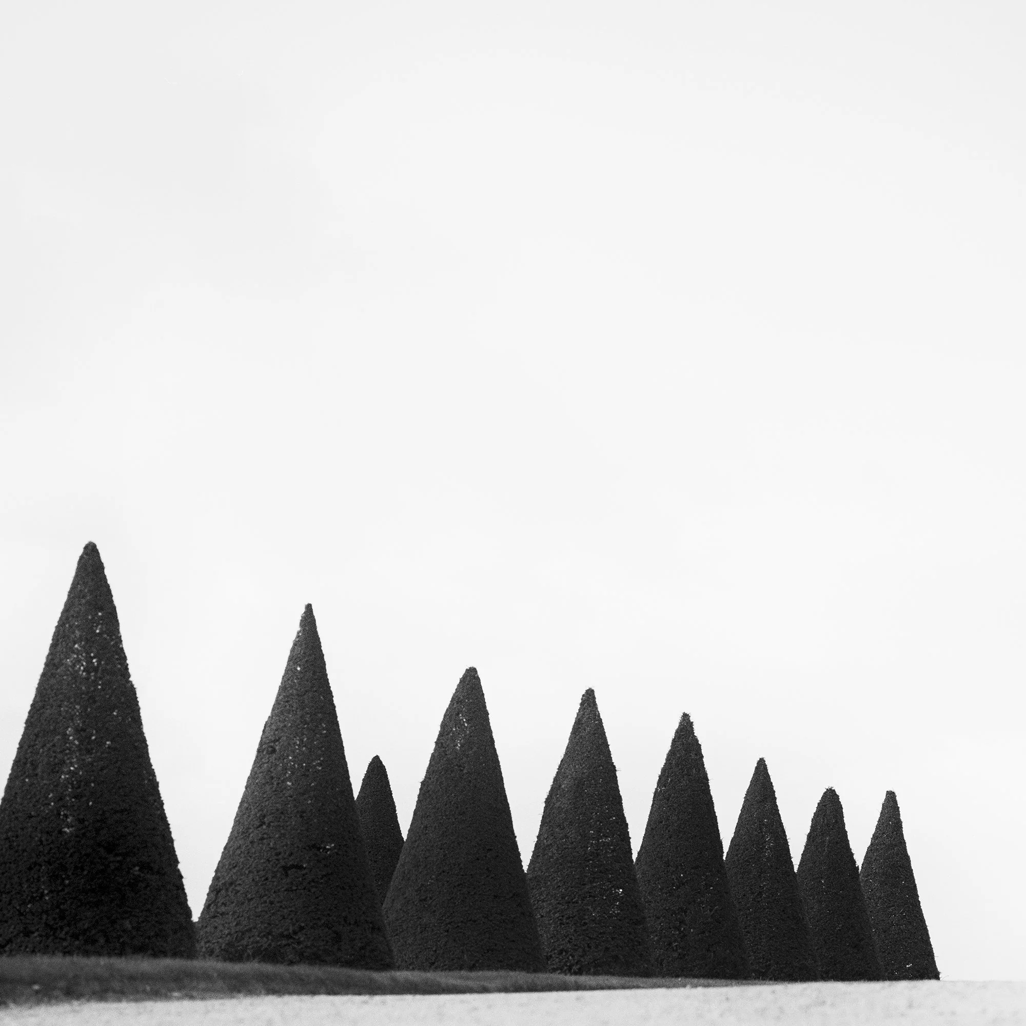 Hedges Study 3 – fine art print detail showing geometric hedge forms and subtle tonal gradations by Gerald Berghammer.