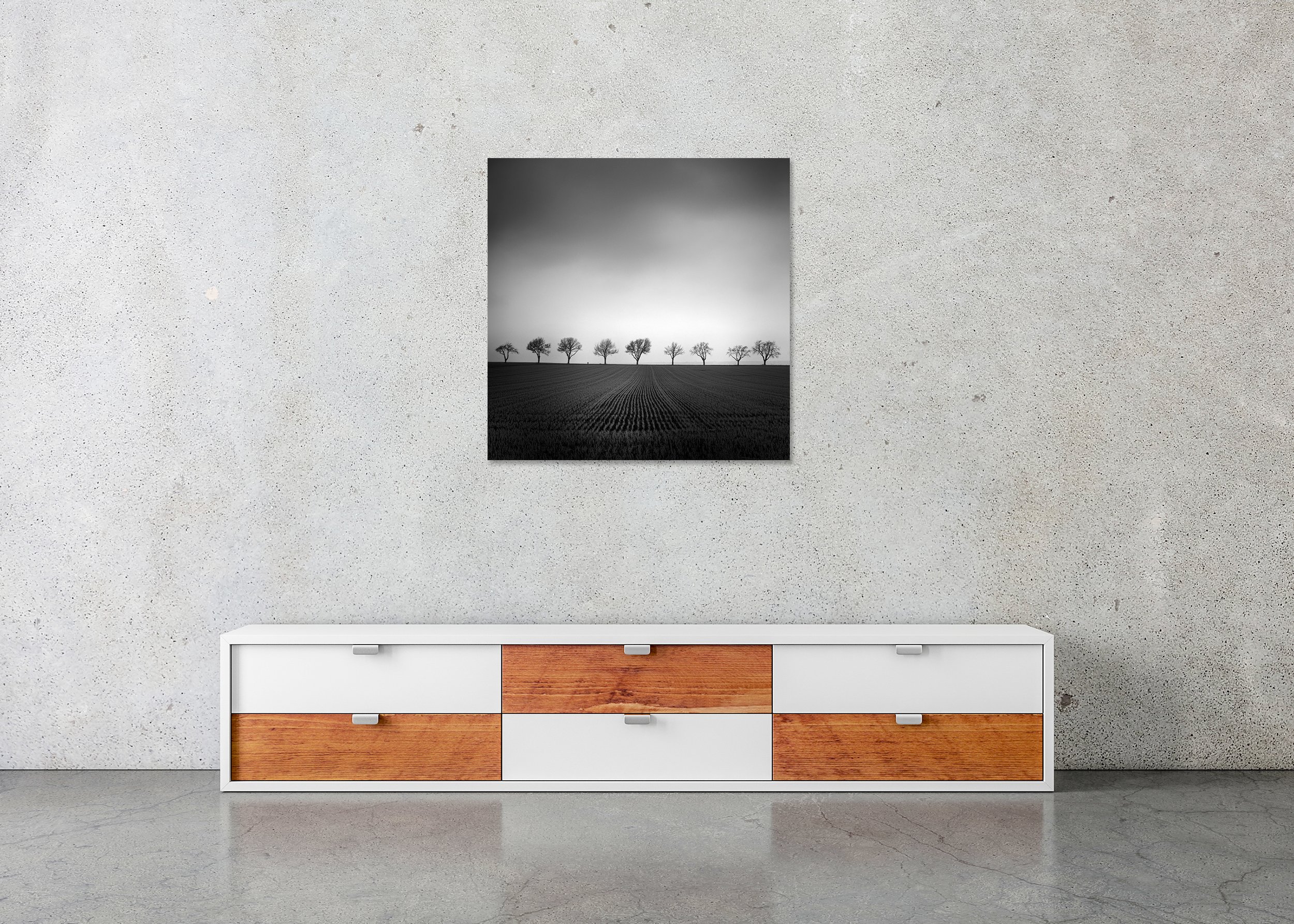 Nine Cherry Trees Study 2 displayed in a modern interior as a frameless aluminium Dibond print by Gerald Berghammer.