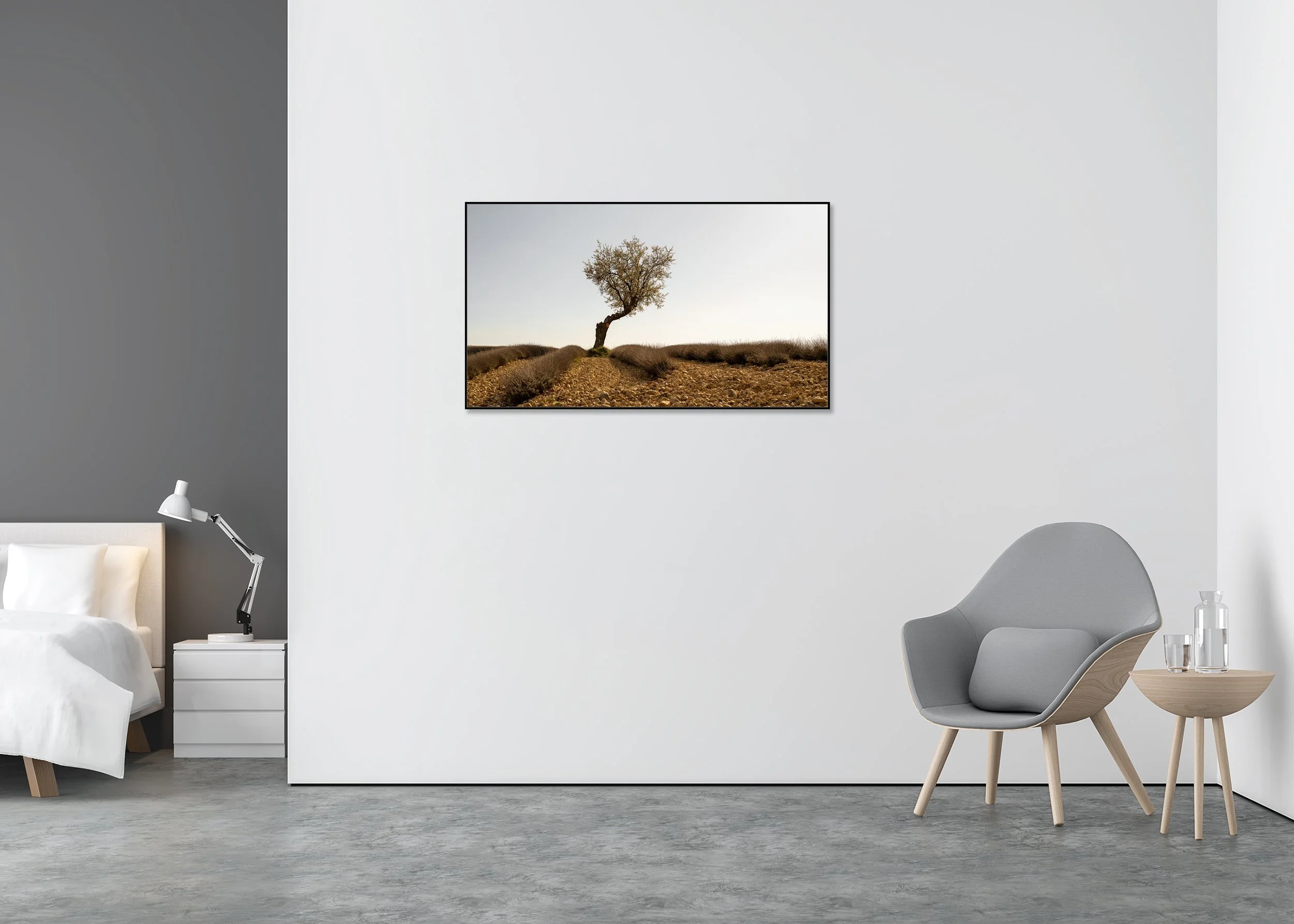 Lavender Field with Tree, Study 1 – colour Dibond print in an aluminium ArtBox displayed in a contemporary interior.