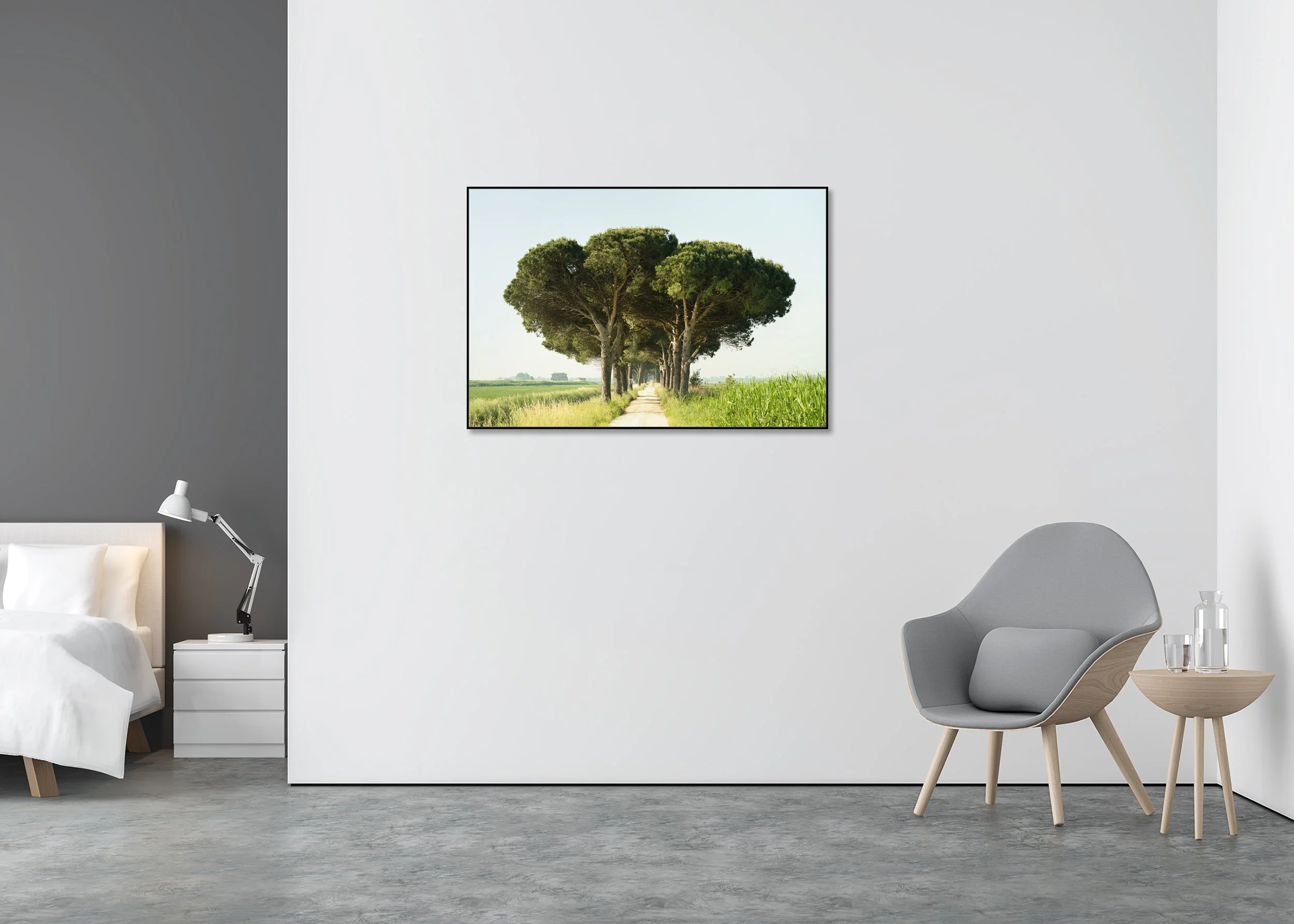 Italian Stone Pine displayed in a modern interior as a colour Dibond print in a black aluminium ArtBox frame by Gerald Berghammer.