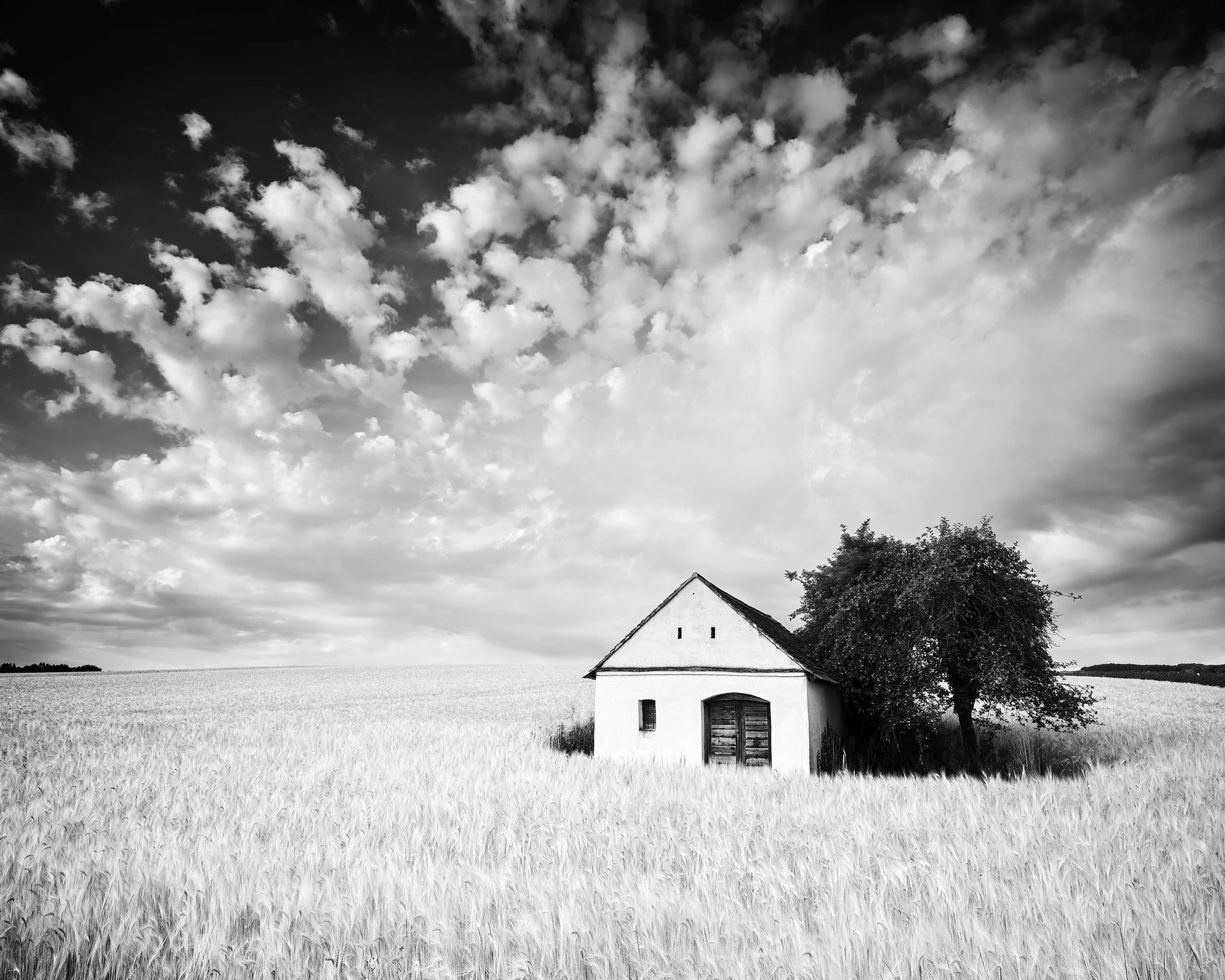 Black-and-white fine art photograph of a traditional wine press house and tree in a grain field beneath dramatic clouds in Austria. Photo by Gerald Berghammer.