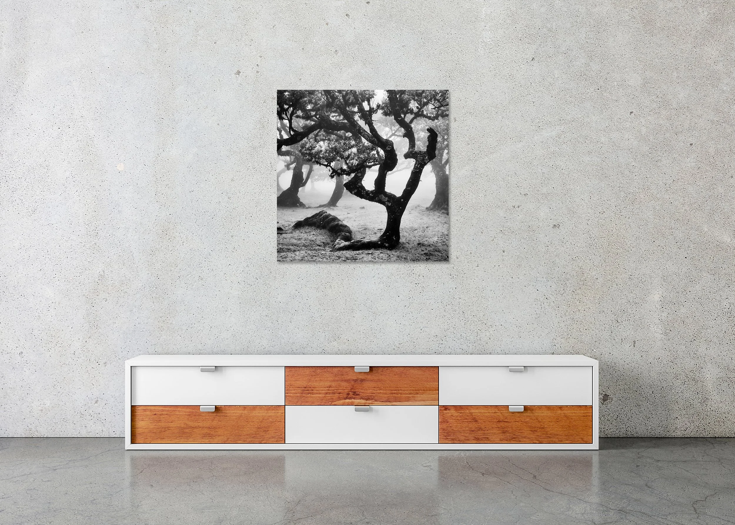 Black-and-white fine art nature photograph of twisted, ancient trees in a foggy forest landscape on Madeira, presented as a frameless ChromaLuxe metal print.
