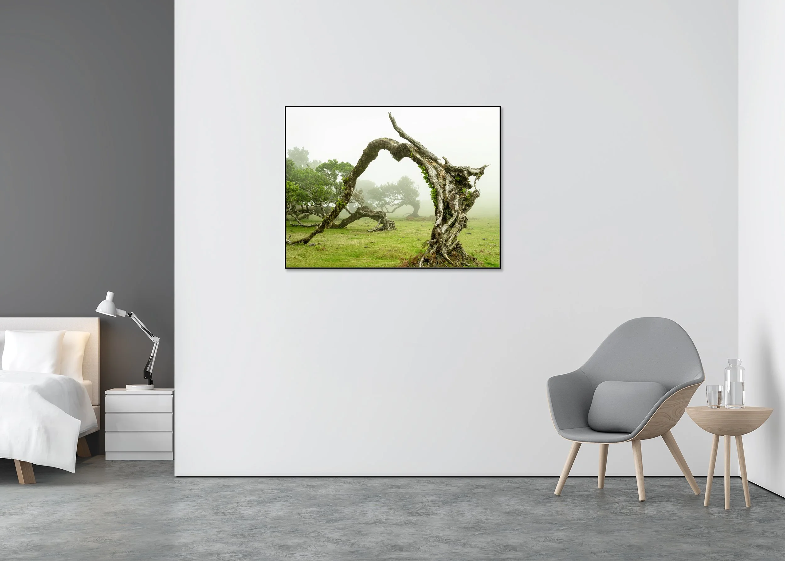 Twisted tree with an arched trunk in a misty green meadow, fog drifting among distant trees, photo print mounted to Dibond in an aluminium ArtBox