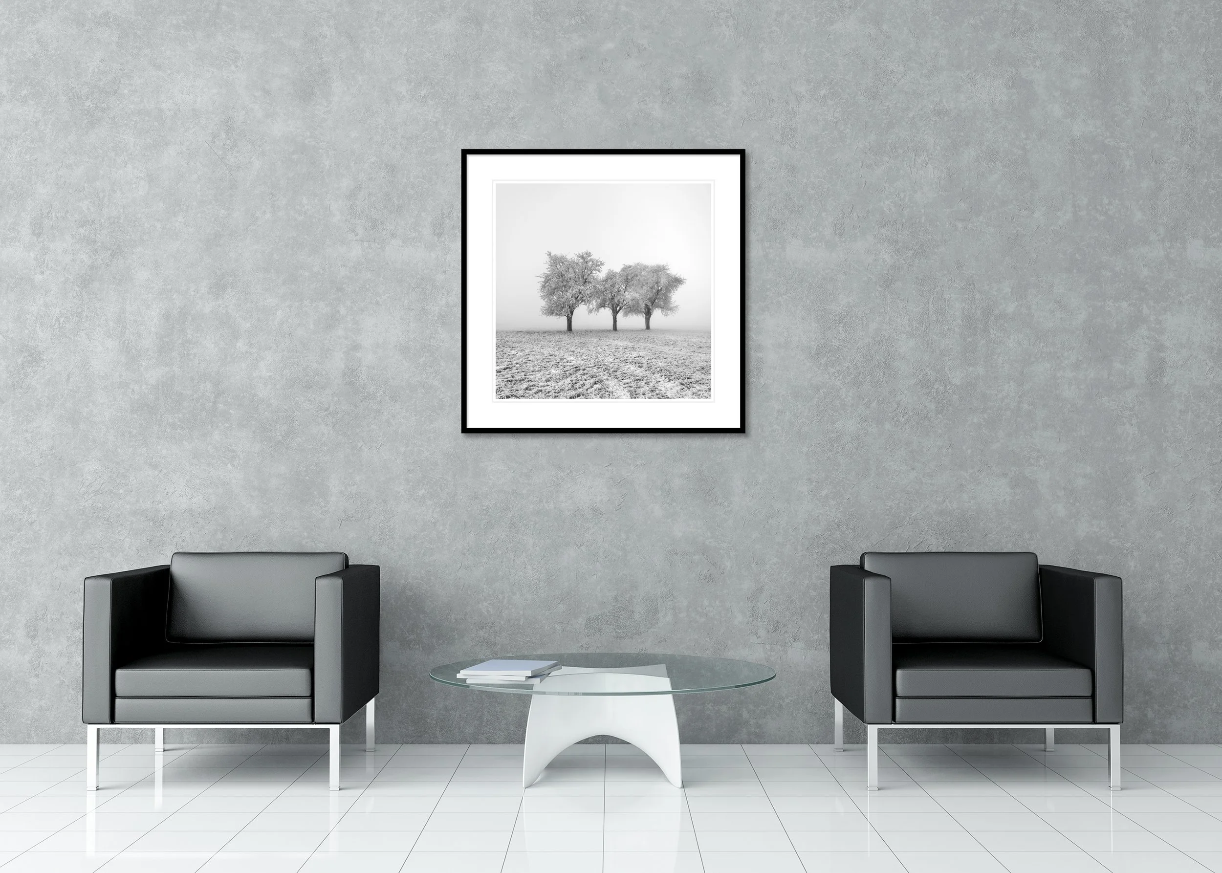 Frozen Apple Trees Study 1 displayed in a modern interior as a frameless black-and-white aluminium Dibond print by Gerald Berghammer.