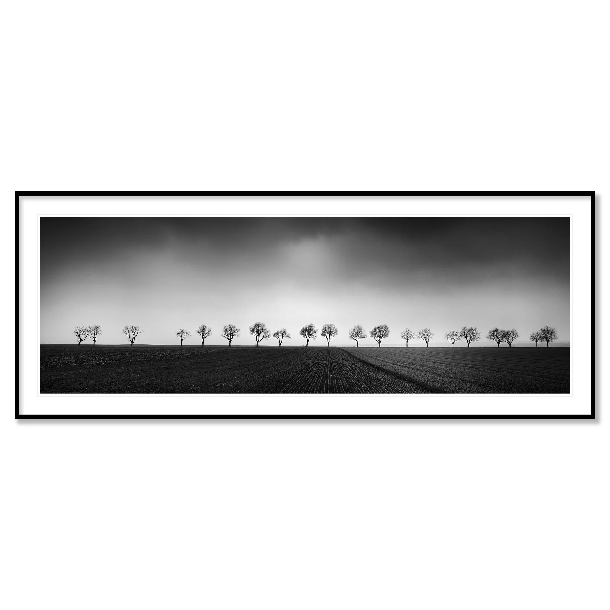 Gerald Berghammer - Black and white panorama photography. Landscape with a row of leafless trees across a flat field under a cloudy sky. Classic framed black