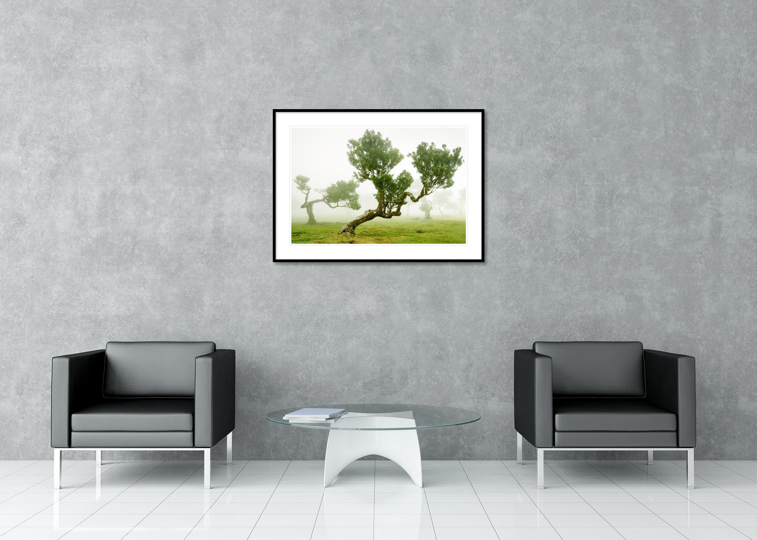 Twisted ancient trees standing in a foggy green meadow, with soft mist surrounding their gnarled trunks and leafy branches. Archival Pigment Print – Classic Frame with Passe-Partout