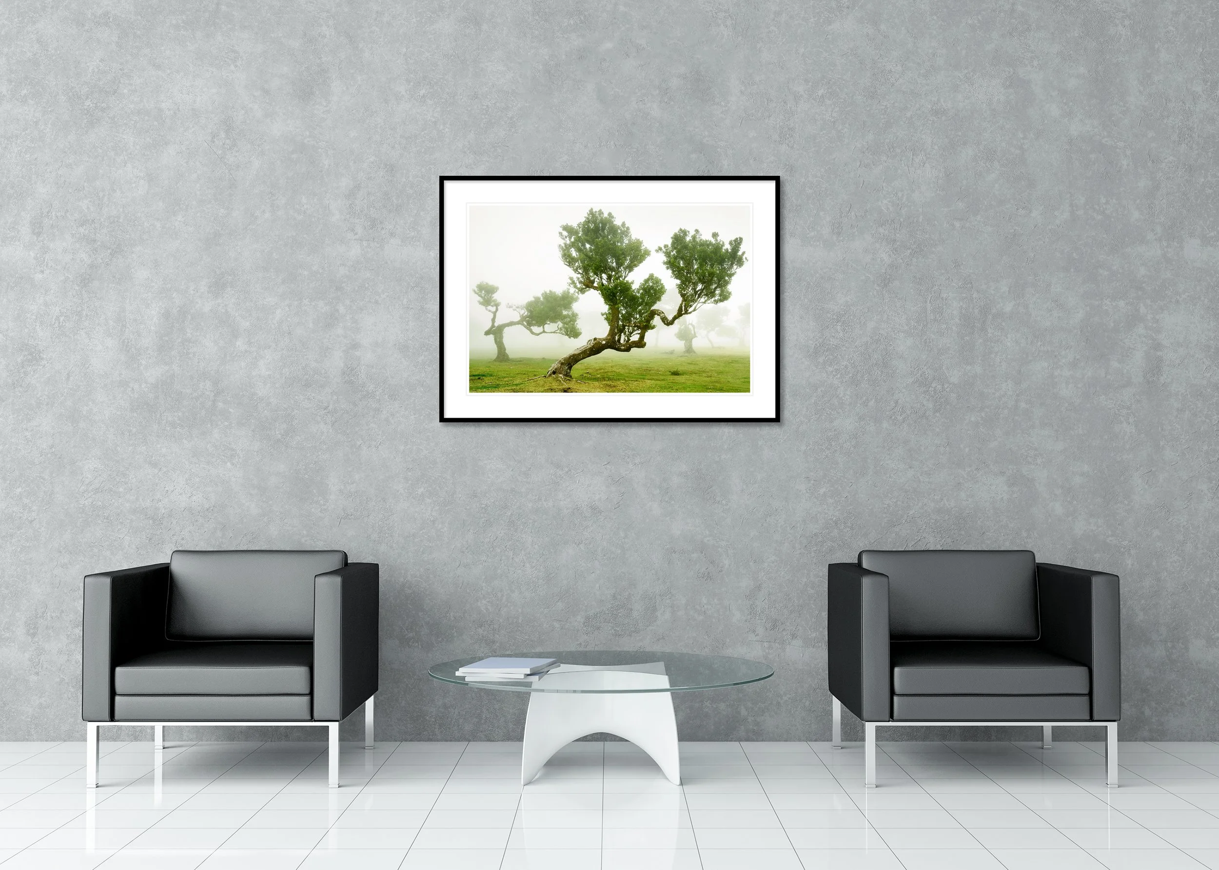 Twisted ancient trees in a foggy green meadow, with soft mist around gnarled trunks and leafy branches, archival pigment print in a classic frame with mount