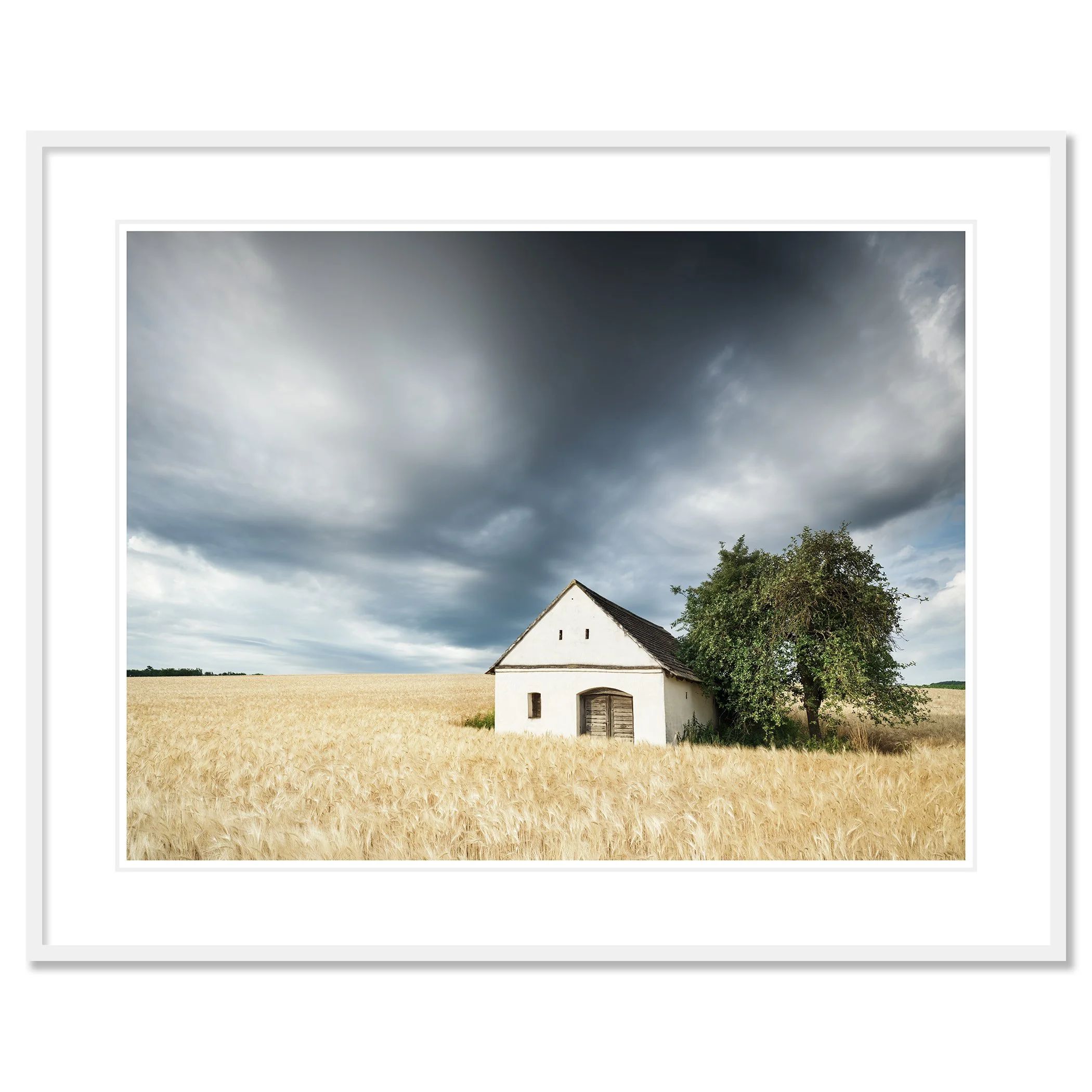 Small white wine press house in a golden wheat field under dramatic storm clouds – classic framed white