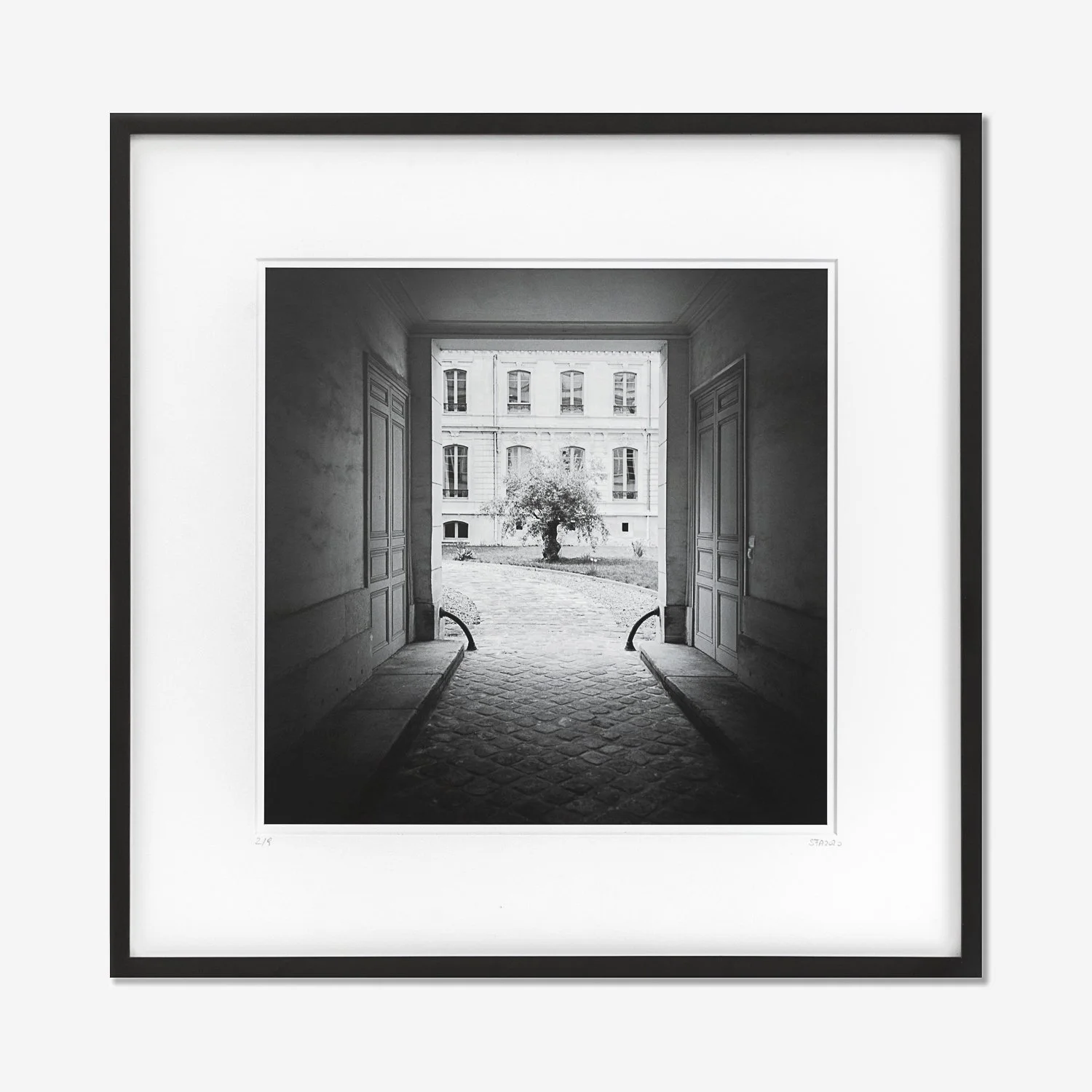 Gerald Berghammer – Tree in the Courtyard, Paris, black-and-white fine art photograph presented in a black wooden frame with a white archival mount.