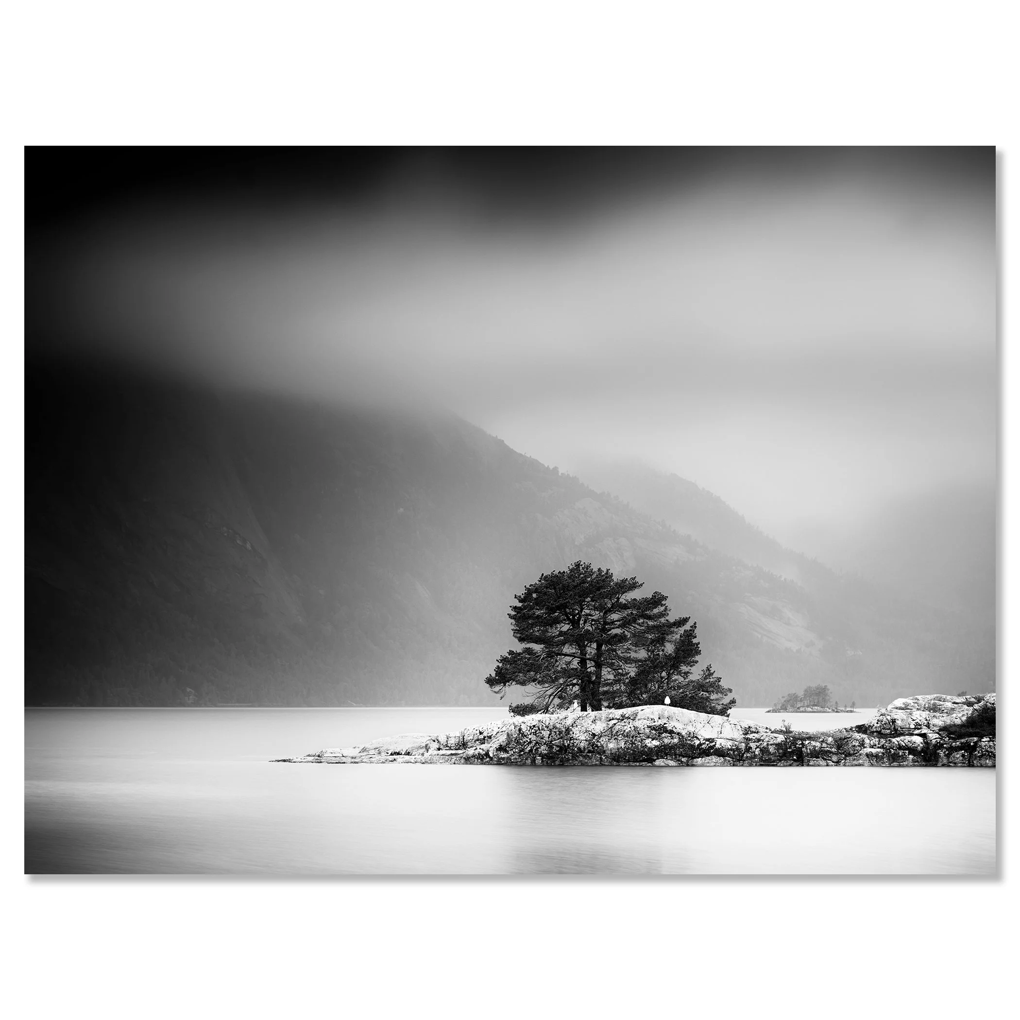Black and white fine art photograph of a lone pine tree on a small island in a misty mountain lake – dibond frameless