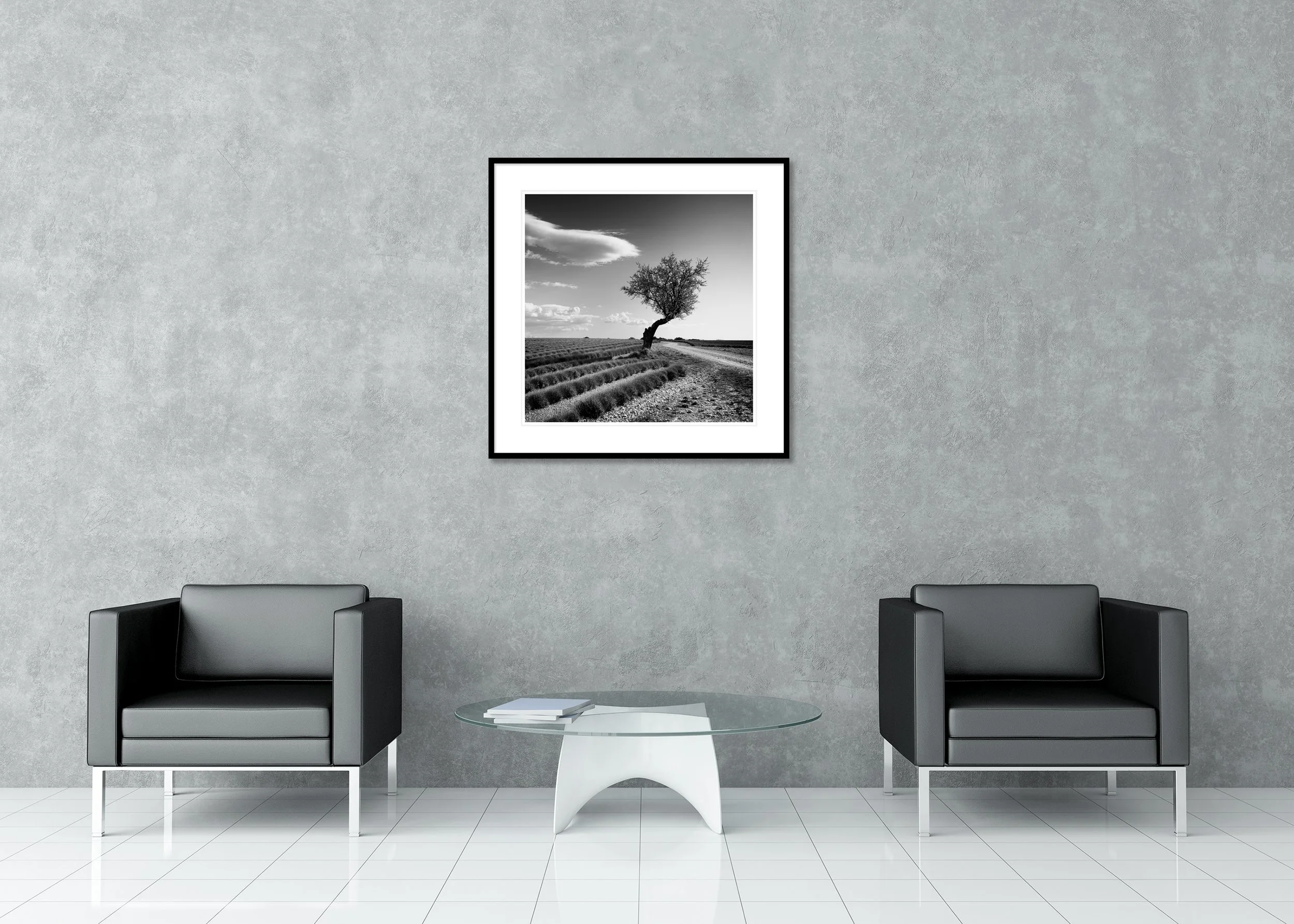 Black and white photo print of a solitary tree beside a dirt road and lavender fields, archival pigment print in a classic frame with mount