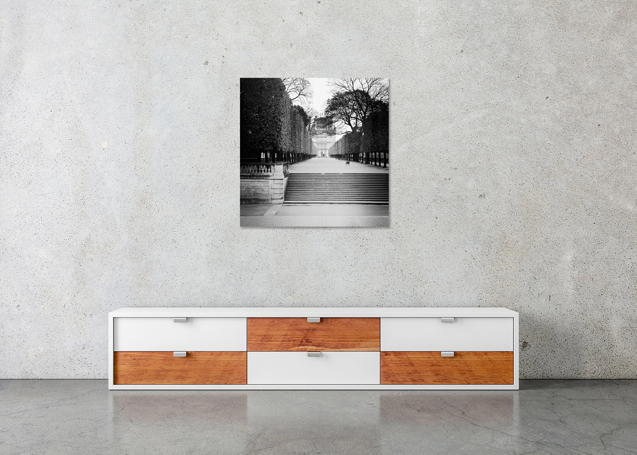 Monochrome print of clipped trees and a wide walkway facing the Pavillon de Flore, Paris, photo print mounted to Dibond, frameless.
