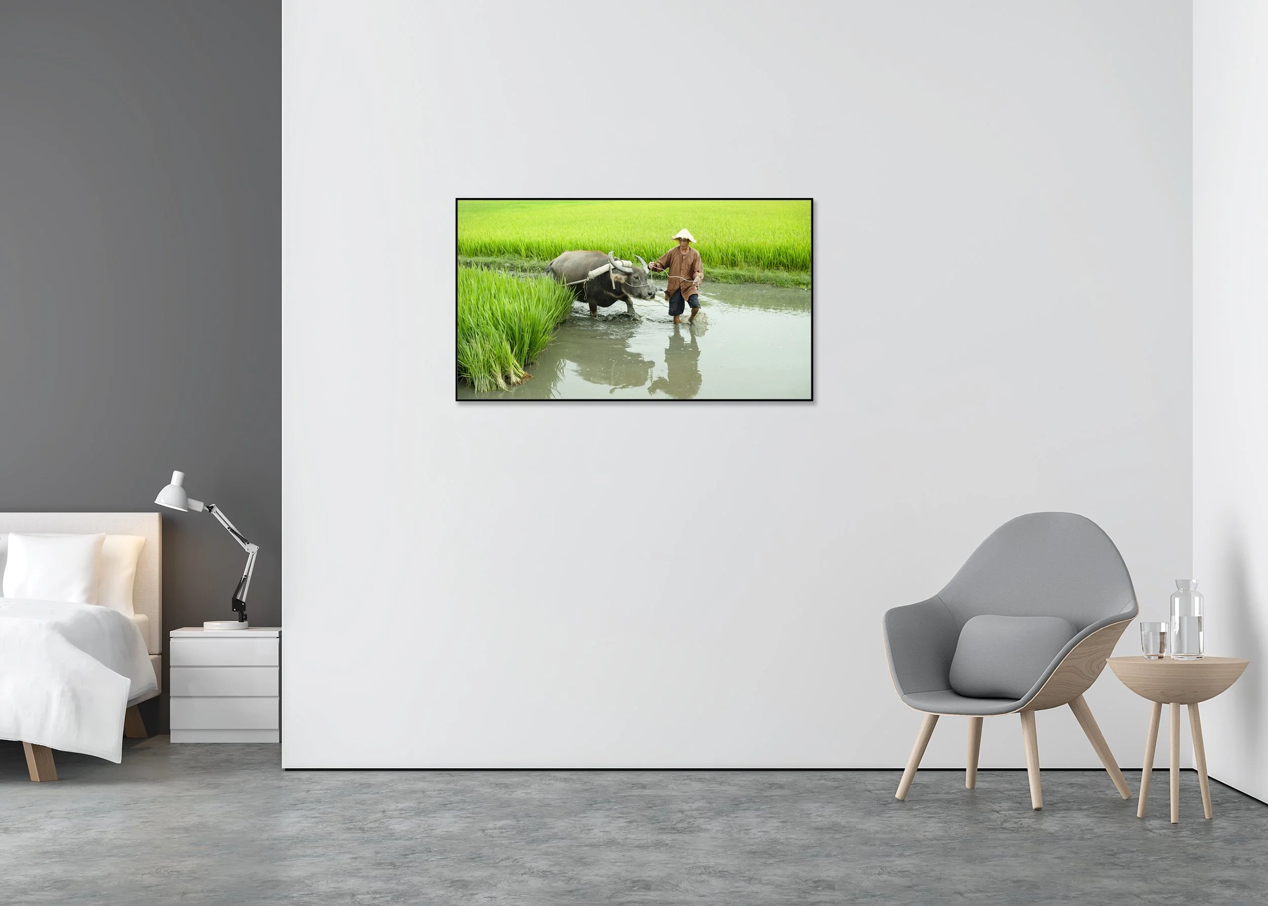 Rice Farmer with Water Buffalo displayed in a modern interior as an archival pigment print in an aluminium frame with a white mount. Photo by Gerald Berghammer.