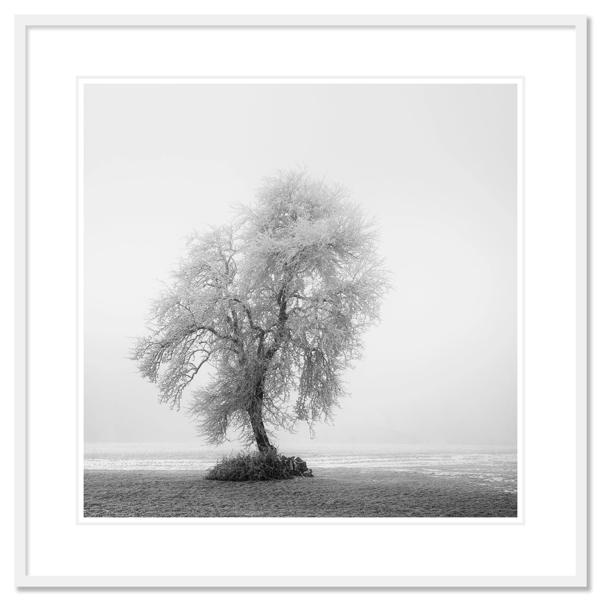 Frozen Farmland Study 2 by Gerald Berghammer, archival pigment print in a white aluminium frame with a white mount.