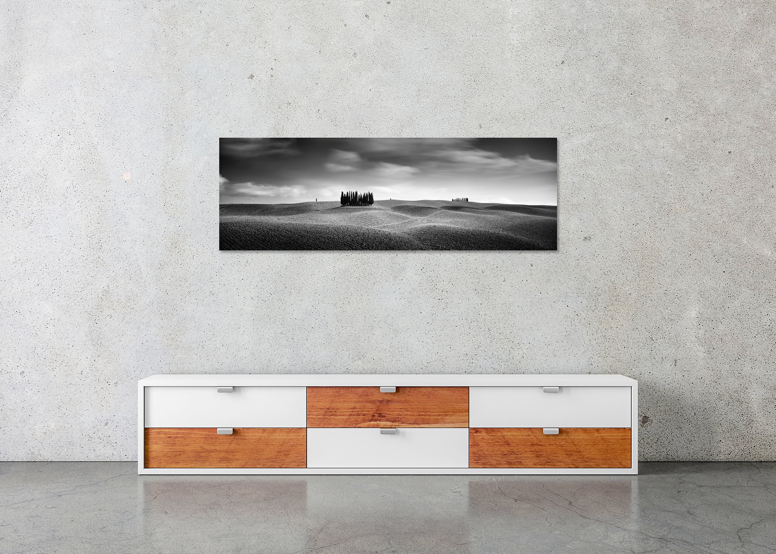 Cypress Hill Panorama Study 2 – Tuscany, Italy, black-and-white photo print mounted to Dibond, frameless