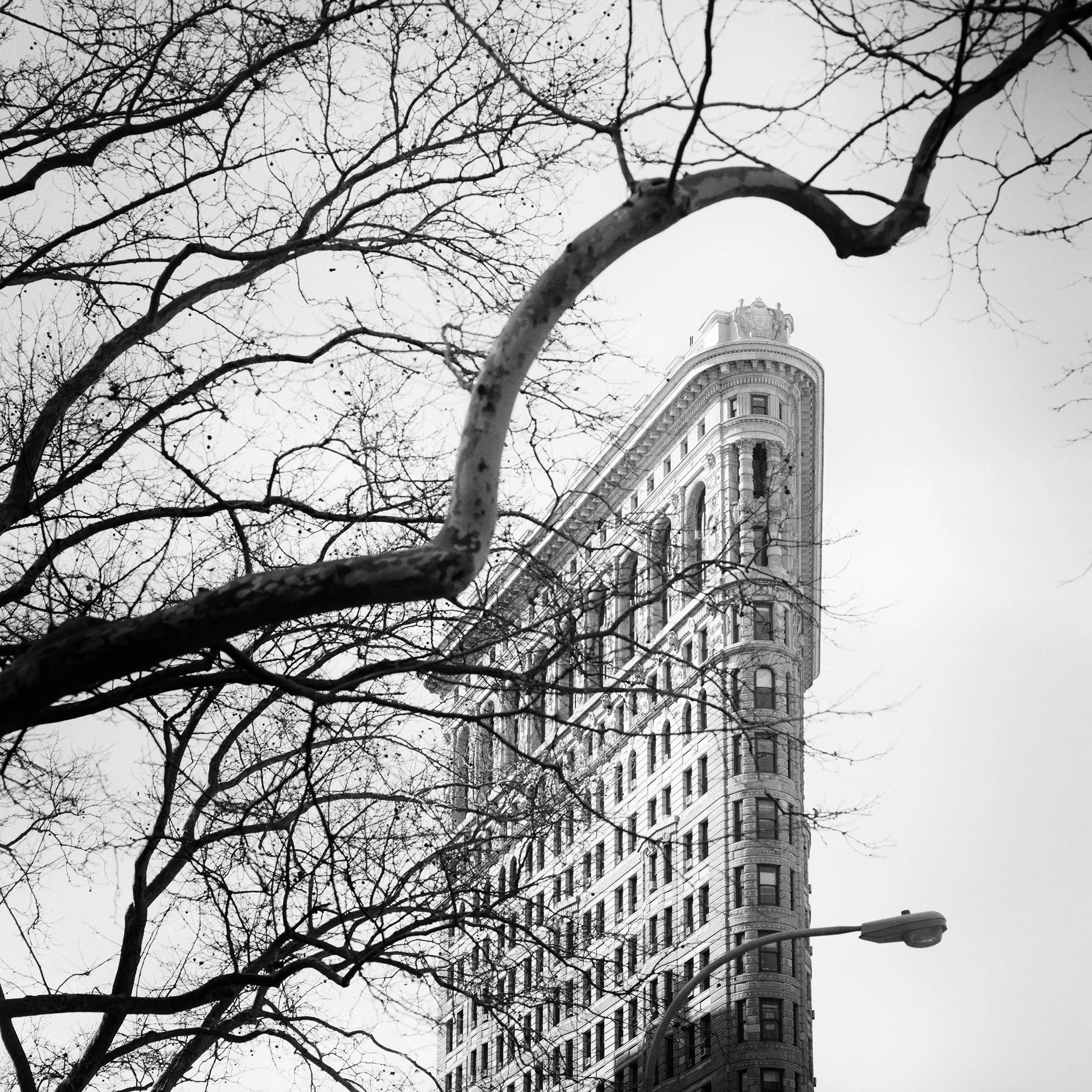 Flatiron Building Study 1 by Gerald Berghammer, black-and-white fine art photograph of the iconic Flatiron Building framed by bare trees in New York City.