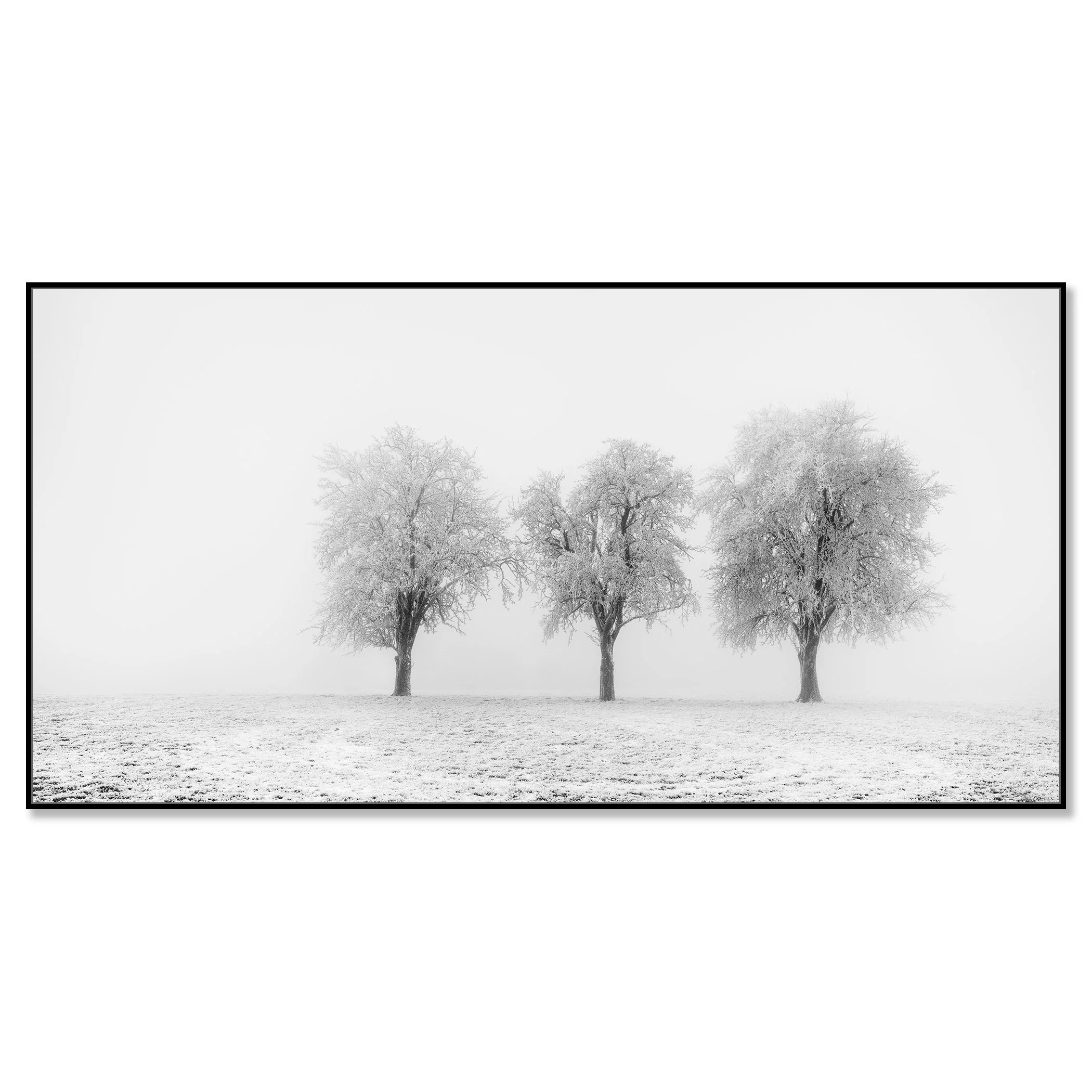 Frozen Apple Trees Panorama Study 2 mounted on aluminium Dibond in a black ArtBox frame by Gerald Berghammer.