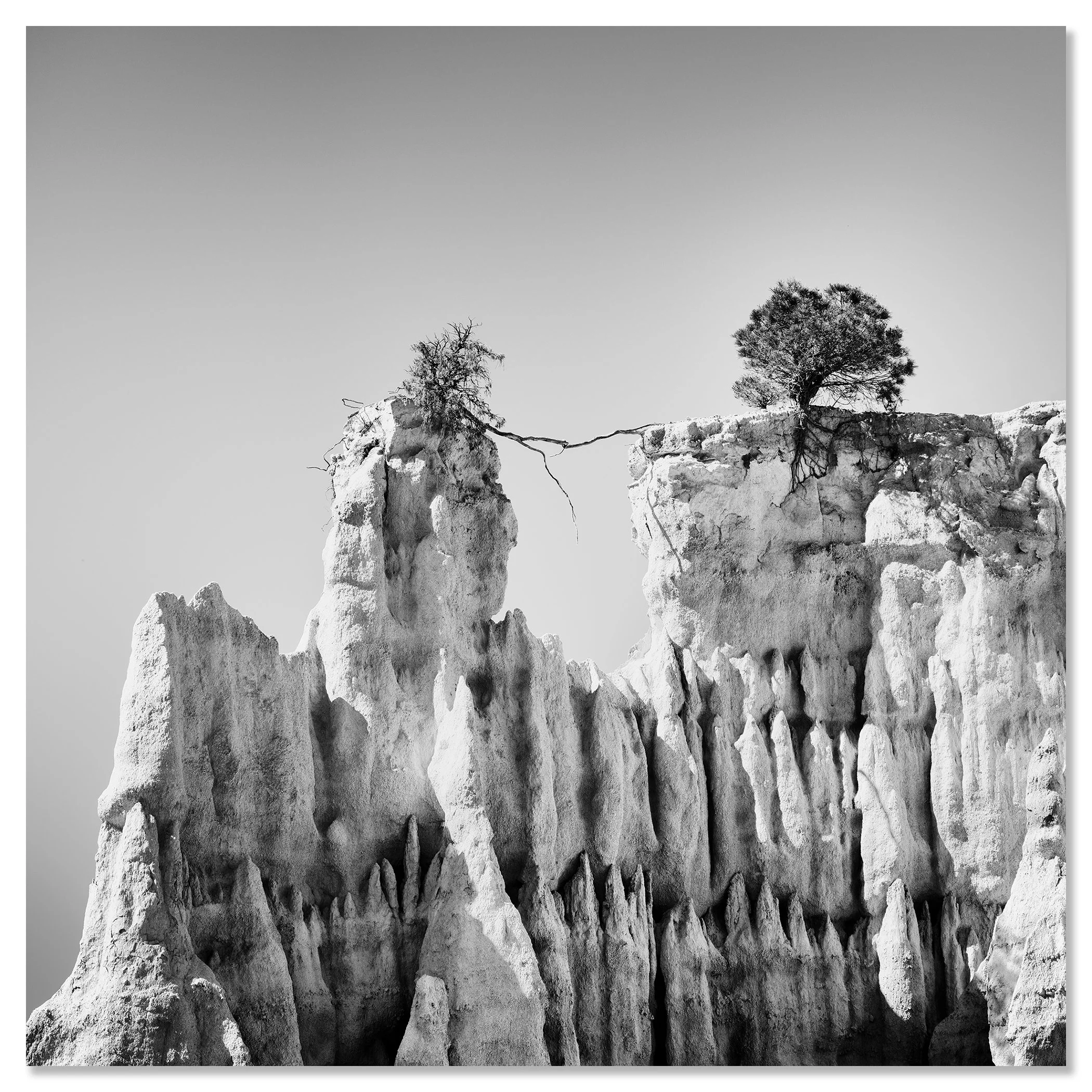 The Organs of Ille-sur-Tet Study 3 mounted as a frameless black-and-white aluminium Dibond print by Gerald Berghammer.