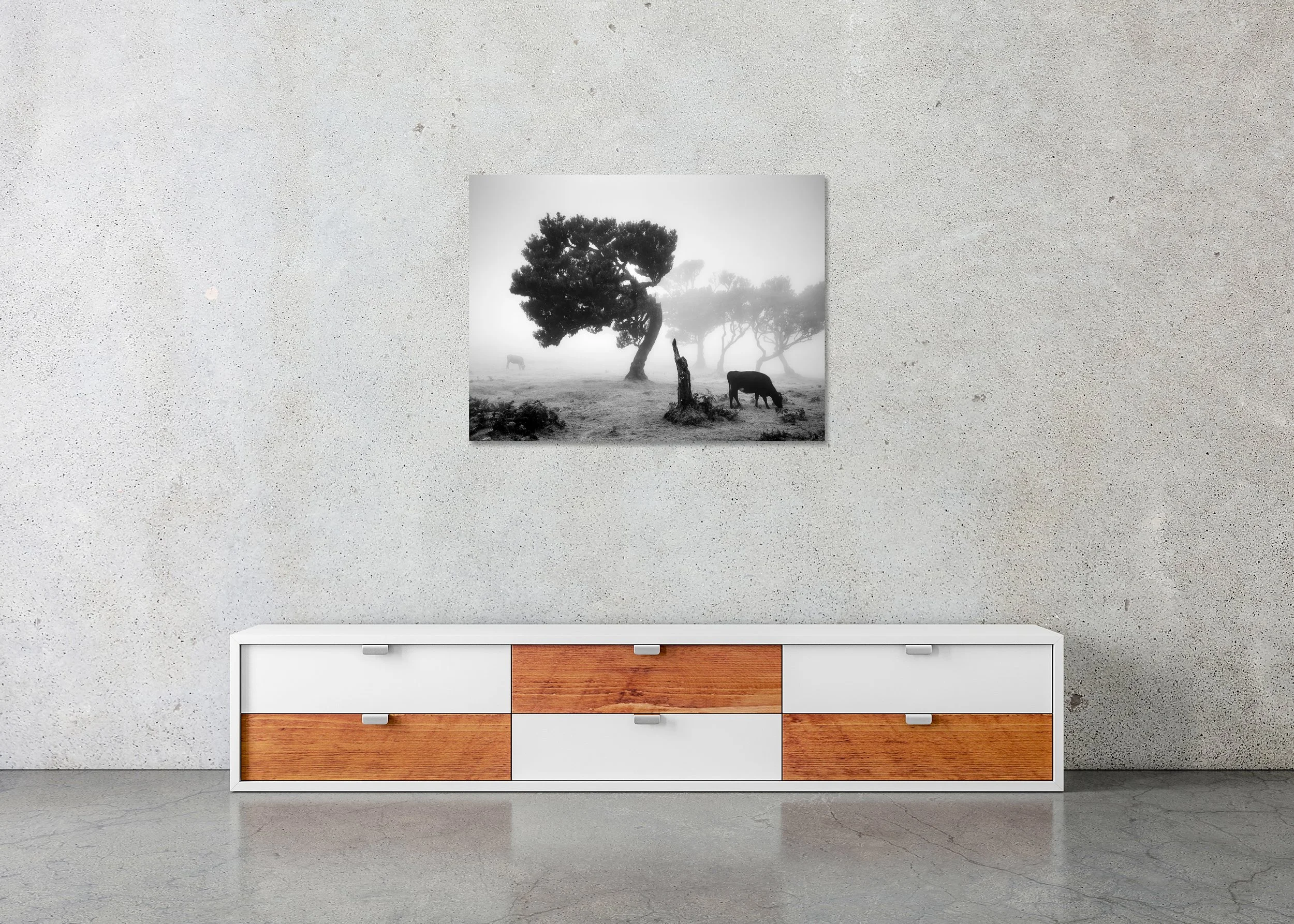 Cows on a Foggy Pasture, Study 1 – Madeira, frameless black-and-white photograph on aluminium Dibond displayed in a minimalist interior. Photo by Gerald Berghammer.