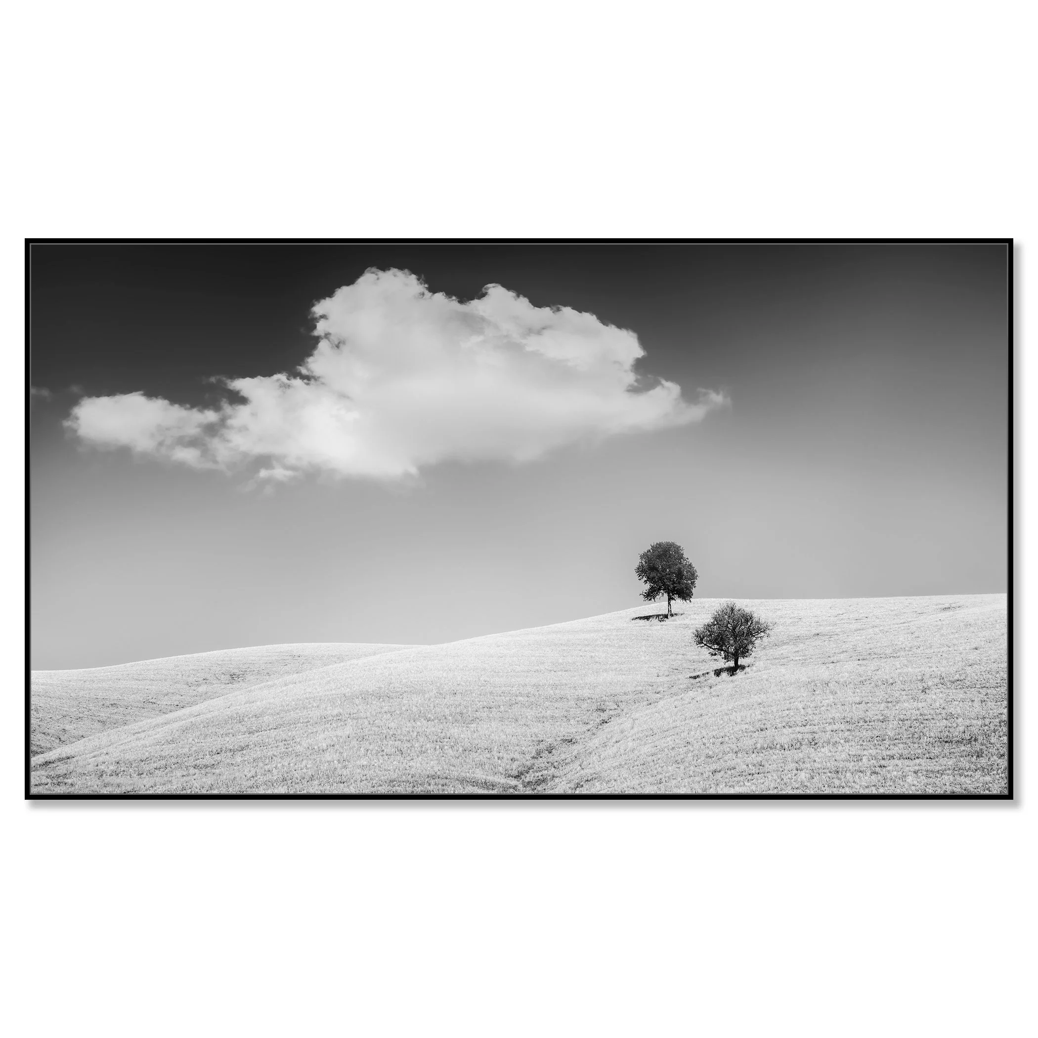 Rolling Hills with Trees Study 1 – Tuscany, Italy, black-and-white photograph in a black aluminium ArtBox frame
