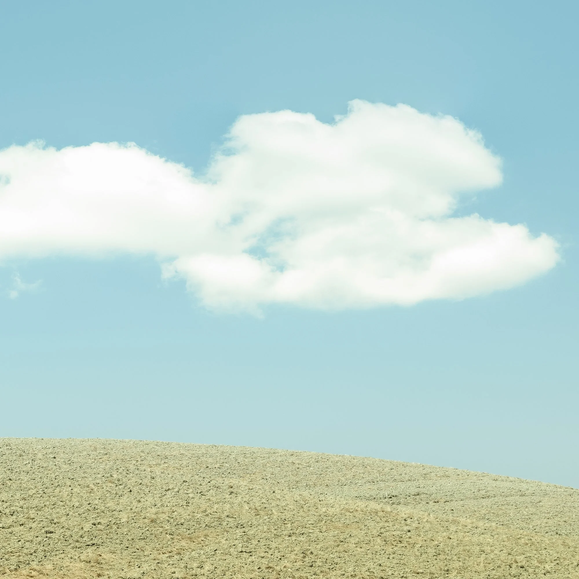 © 2021 Gerald Berghammer - Color minimalist Tuscany photo. Single tree growing on a small mound in a barren landscape under a blue sky with a few white clouds. Print detail 2