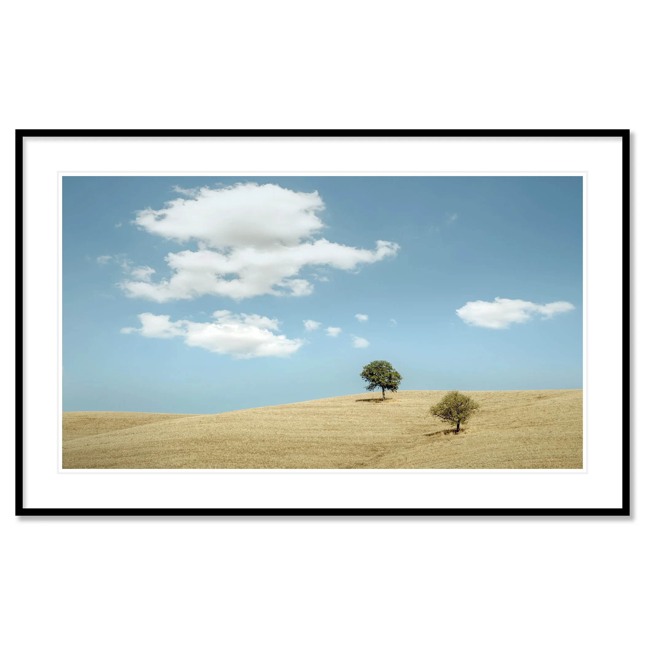 © 2021 Gerald Berghammer - Color minimalist Tuscany landscape photography. Two trees on a grassy hill under a blue sky with white clouds. Classic framed black