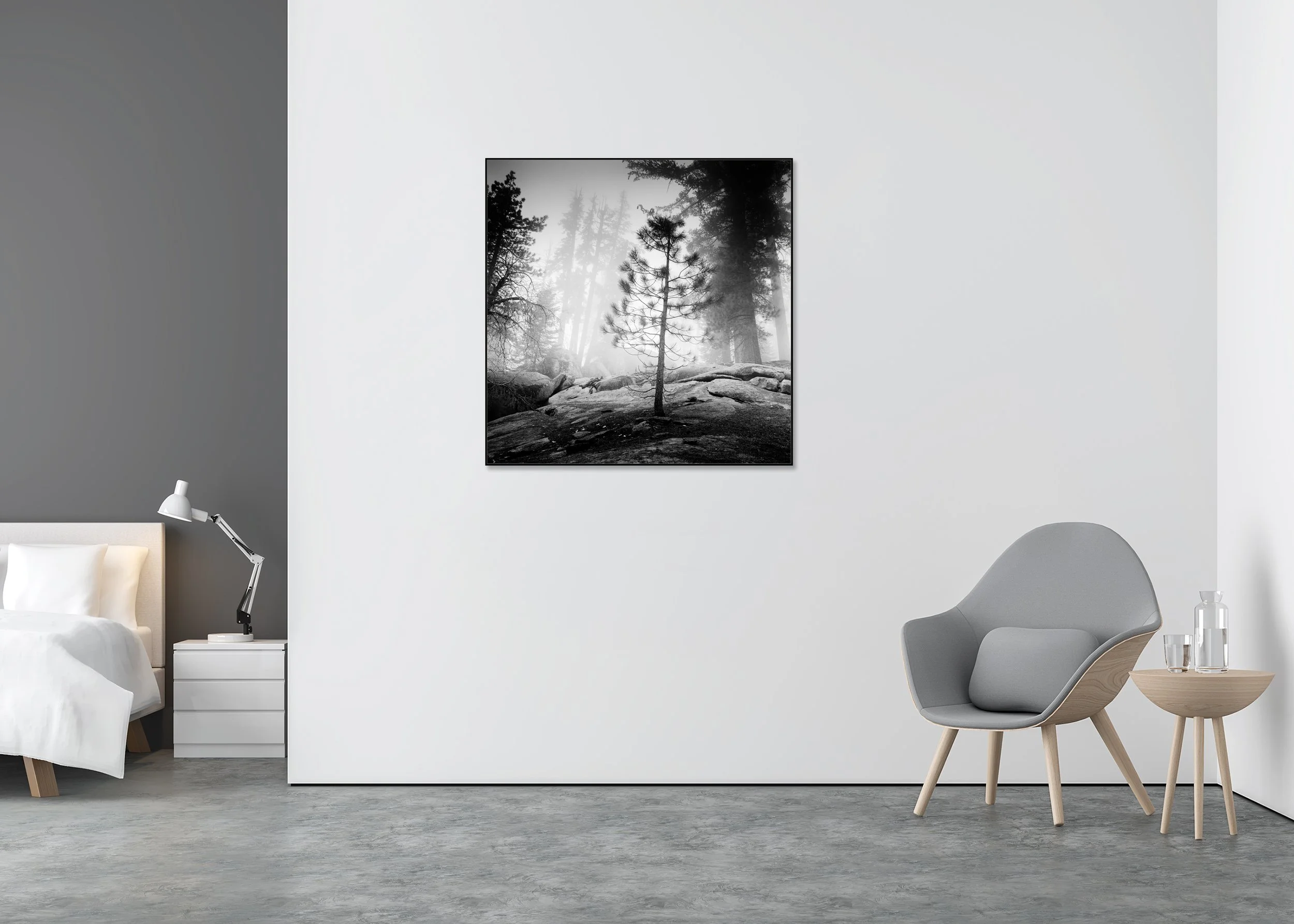 Into the Wild displayed in a modern interior as a black-and-white Dibond print in a black aluminium ArtBox frame by Gerald Berghammer.