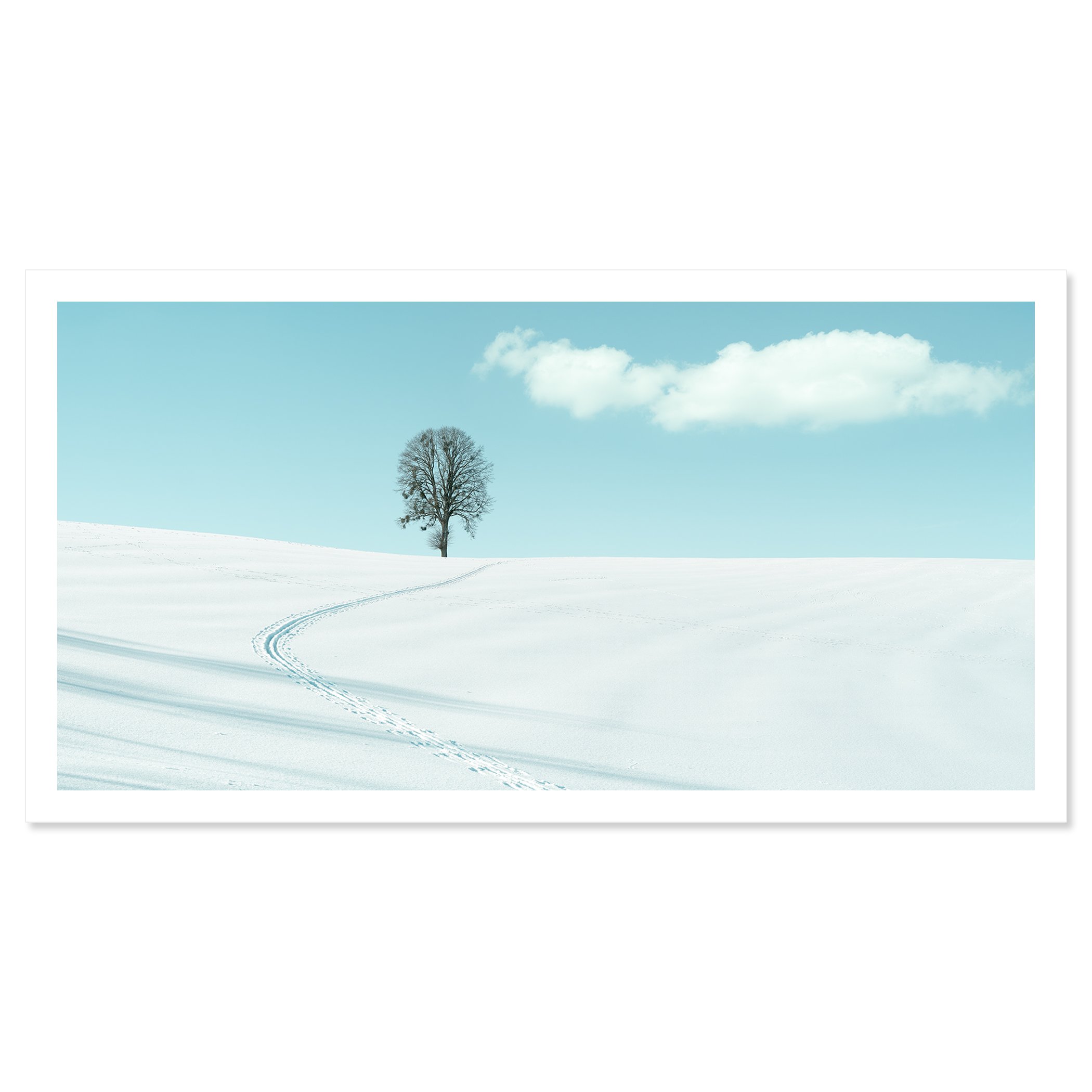 Winter Path to the Lone Tree – Austria, colour archival pigment print on Baryta paper with white border.