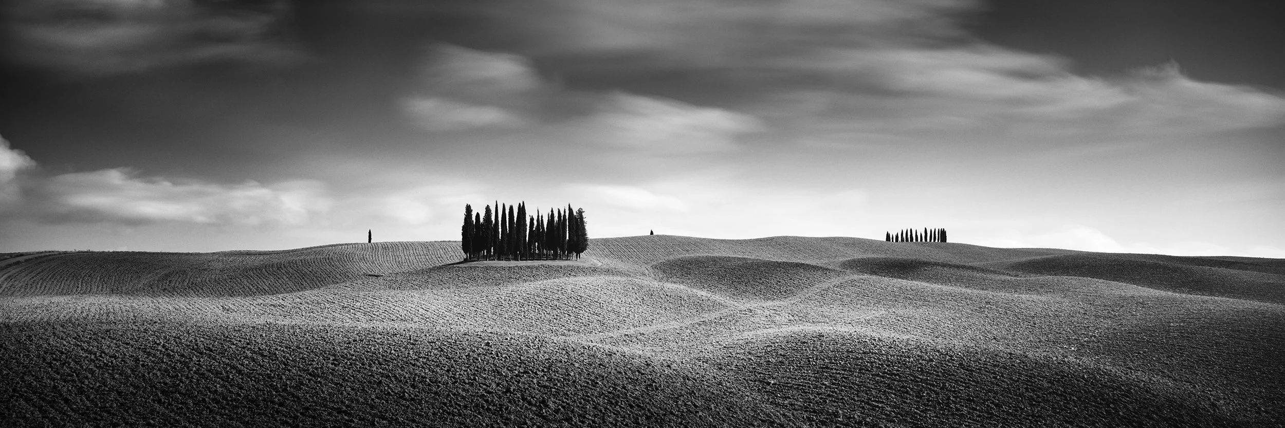 Black-and-white panoramic fine art photograph of rolling hills in Tuscany with cypress trees and dramatic sky, photo by Gerald Berghammer.