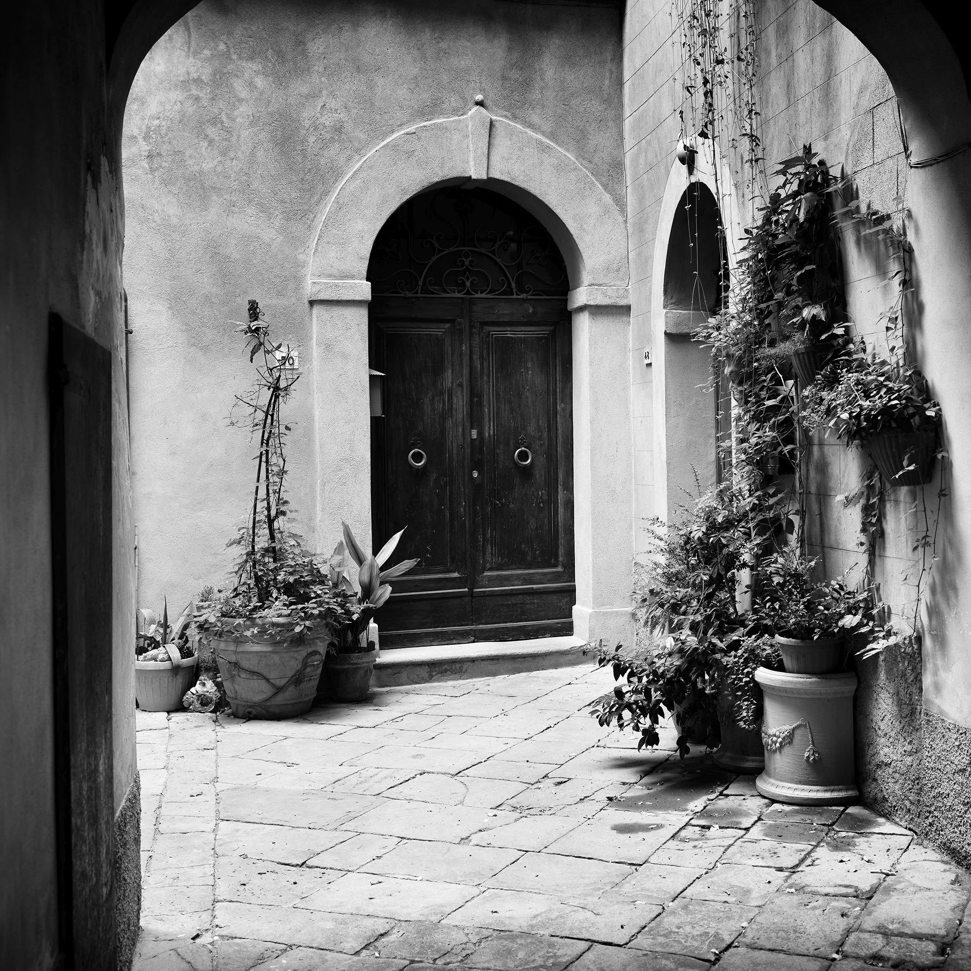 Gerald Berghammer - Black and white cityscape photography. A courtyard with a wooden door, arched doorways, and potted plants on a cobblestone floor. Print detail 1