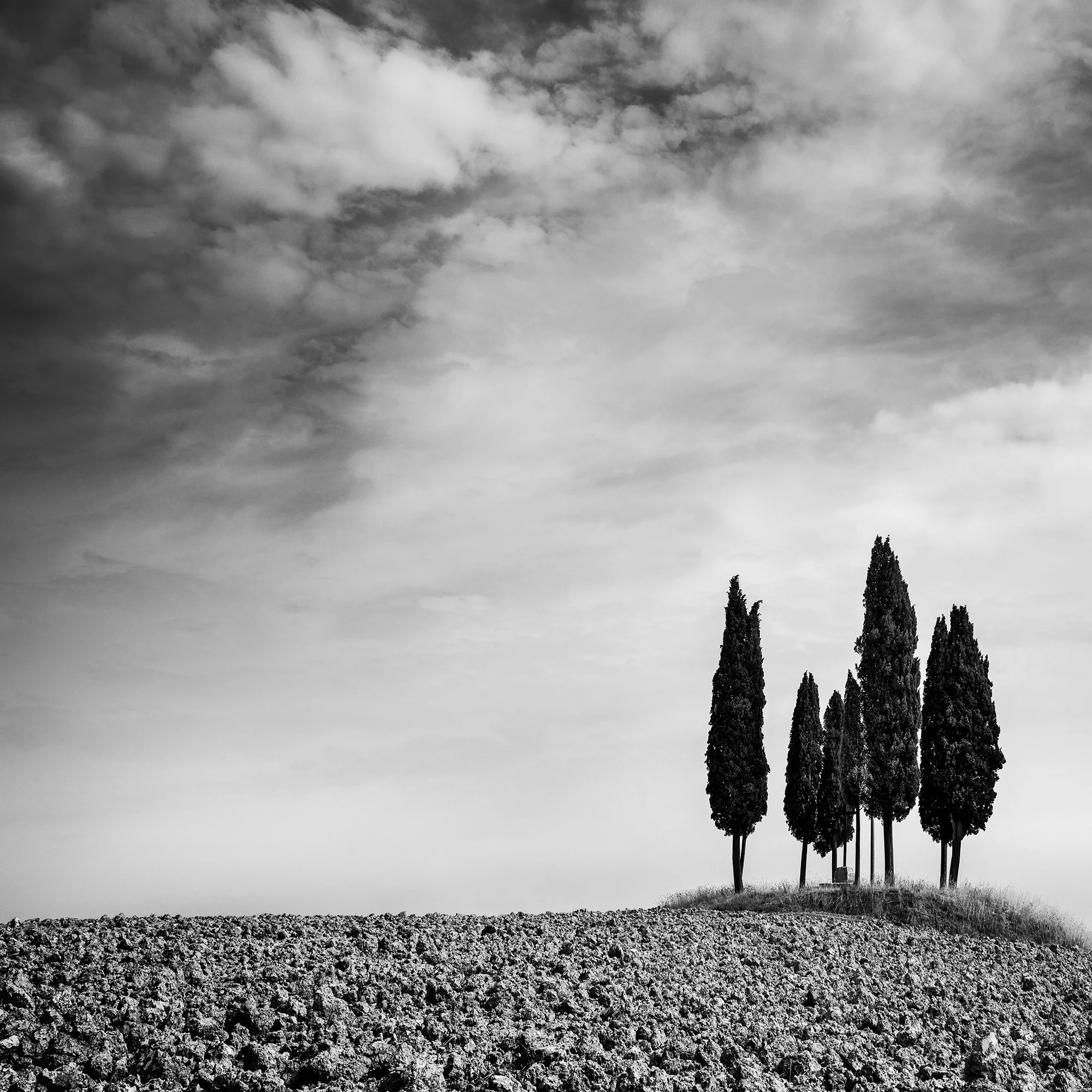 Detail of Circle of Cypress Trees Study 2 showing cypress trees beneath a dramatic Tuscan sky by Gerald Berghammer.