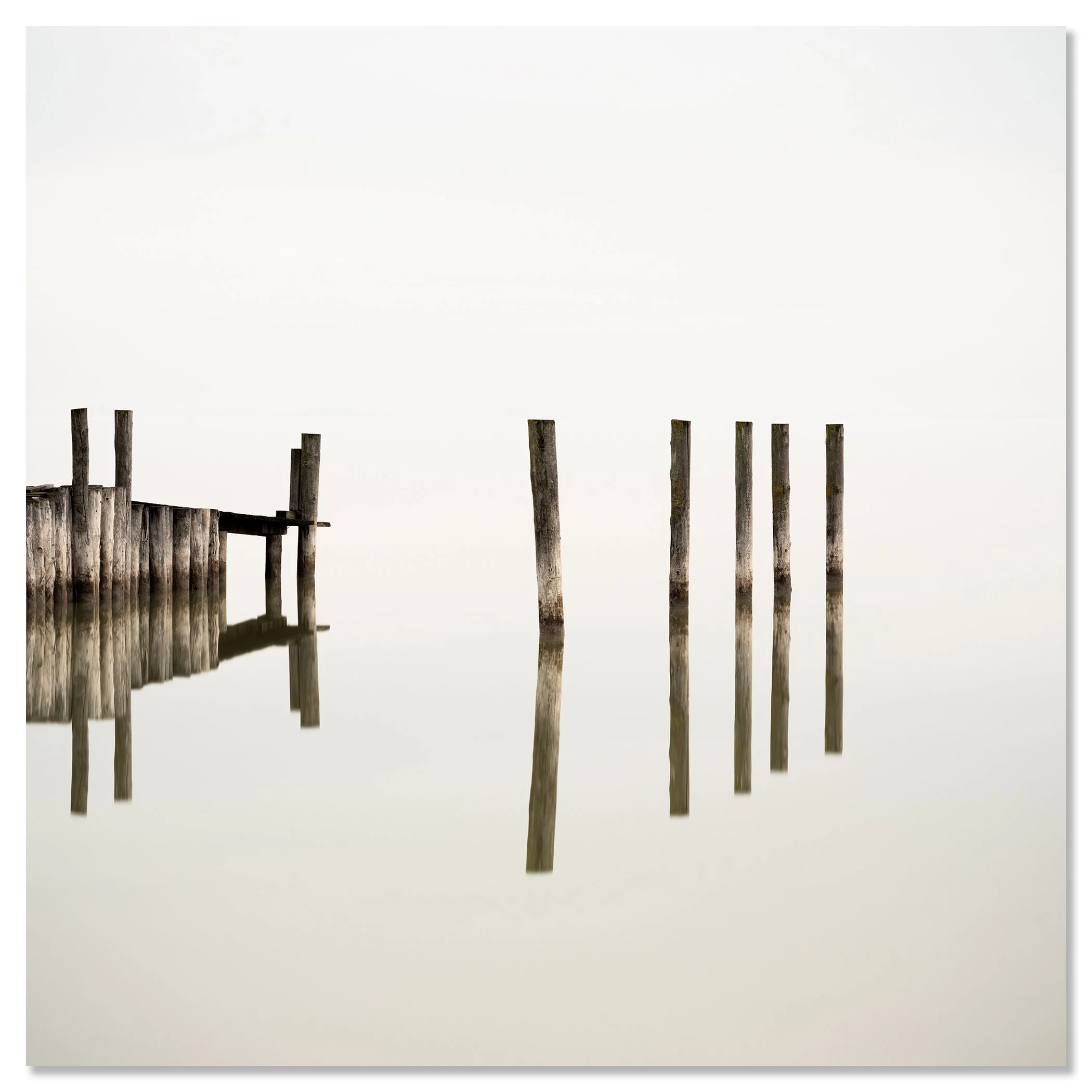 Wooden Pegs in the Lake – colour photograph mounted on aluminium Dibond and presented frameless.