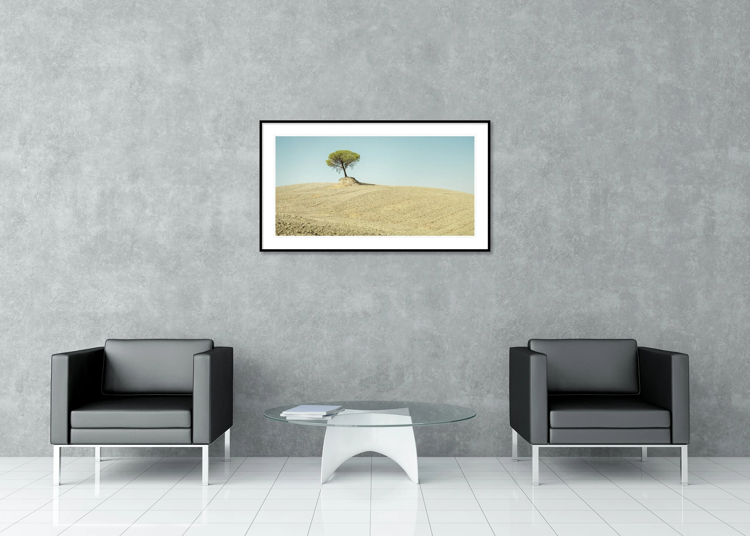 Italian Stone Pines, Study 6 – archival pigment print in a black aluminium frame with a white mount displayed in a modern interior. Photo by Gerald Berghammer.