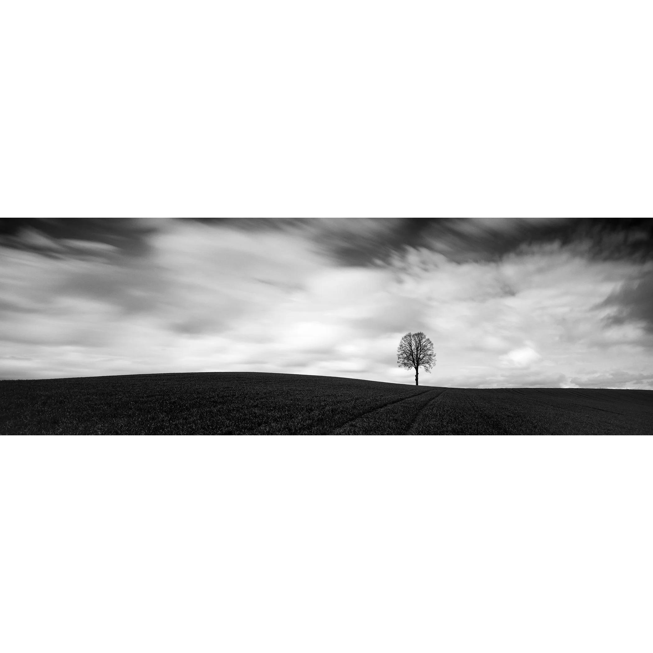 Farmland Panorama Study 1 by Gerald Berghammer, minimalist black-and-white fine art photograph of a solitary tree in Austria.