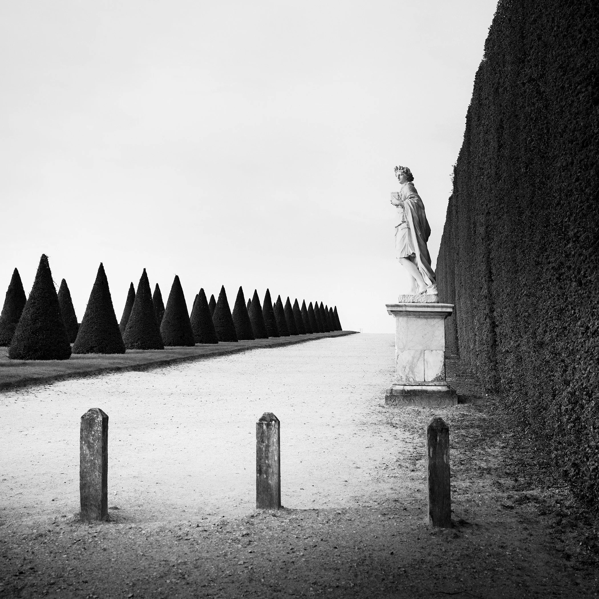 © 2017 Gerald Berghammer - Black and white landscape photography. Statue of a person along a tall hedge, with a row of trimmed cone-shaped trees.