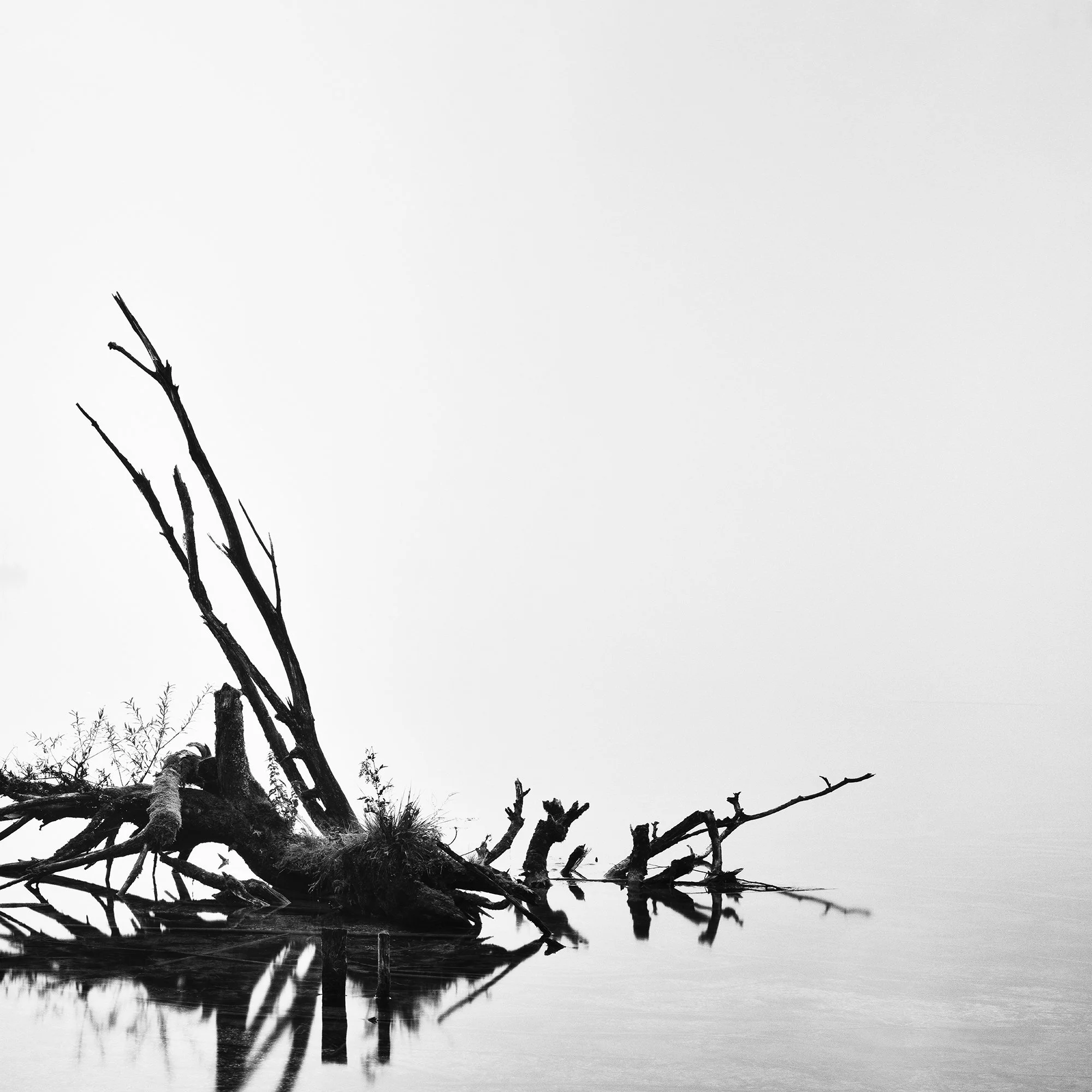 Fallen Tree Study 1 detail showing dark branches and elongated reflections in a misty Austrian lake by Gerald Berghammer.