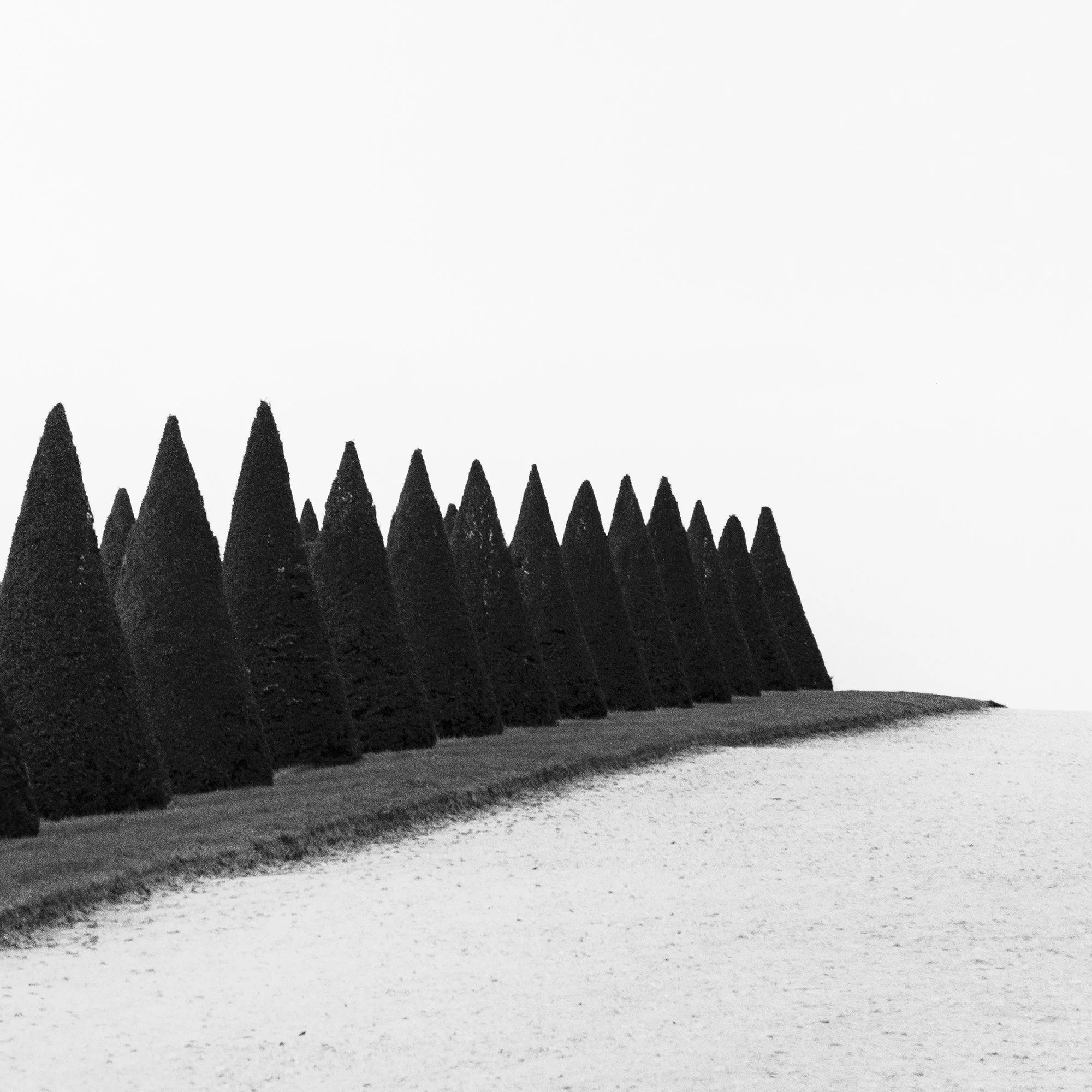 Hedges, Study 1 – close view of geometric topiary hedges in the Gardens of Versailles, France, by Gerald Berghammer.