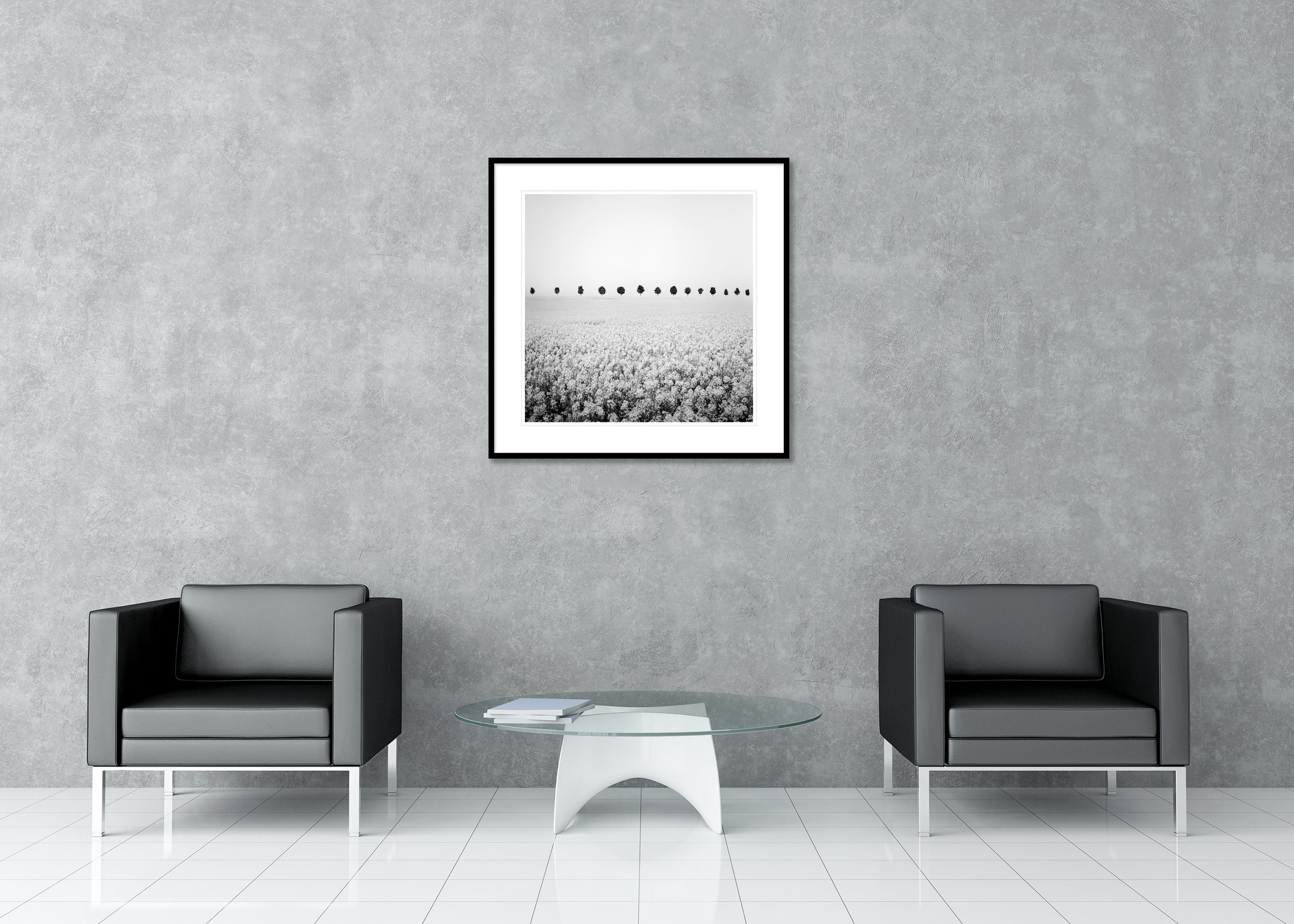 Black and white photo of a flowering field with evenly spaced trees on the horizon, printed as an archival pigment print in a classic frame with a passe-partout.