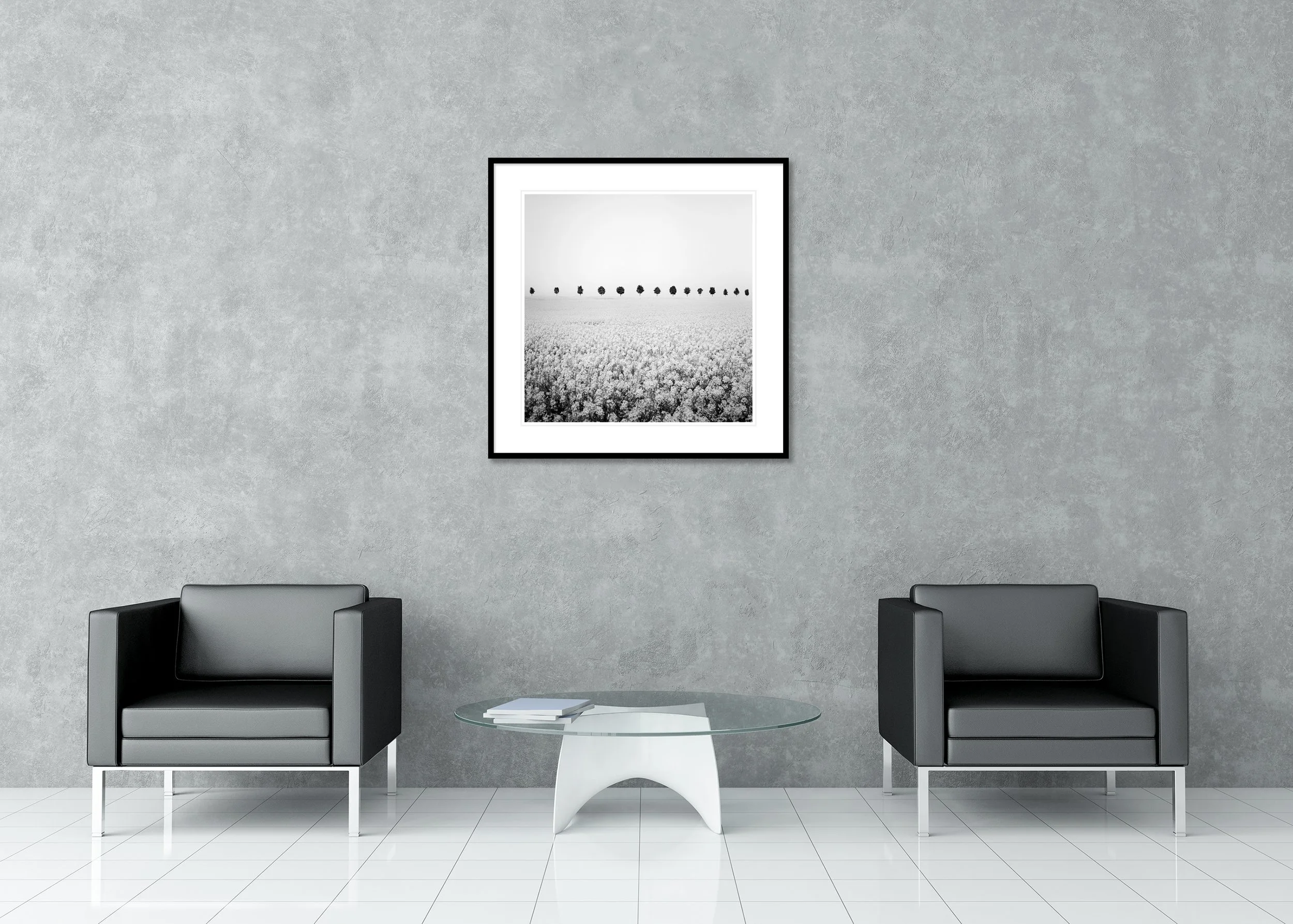 Black and white landscape of a flowering field with a straight row of evenly spaced trees on the horizon, archival pigment print in a classic frame with mount.