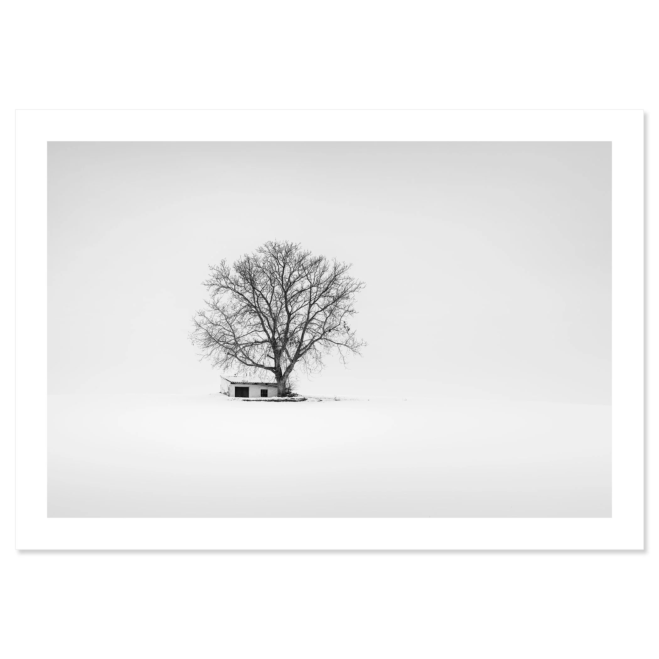 Wine Press House Winter Study 2 as an archival black-and-white fine art print on Hahnemühle Photo Rag Baryta by Gerald Berghammer.