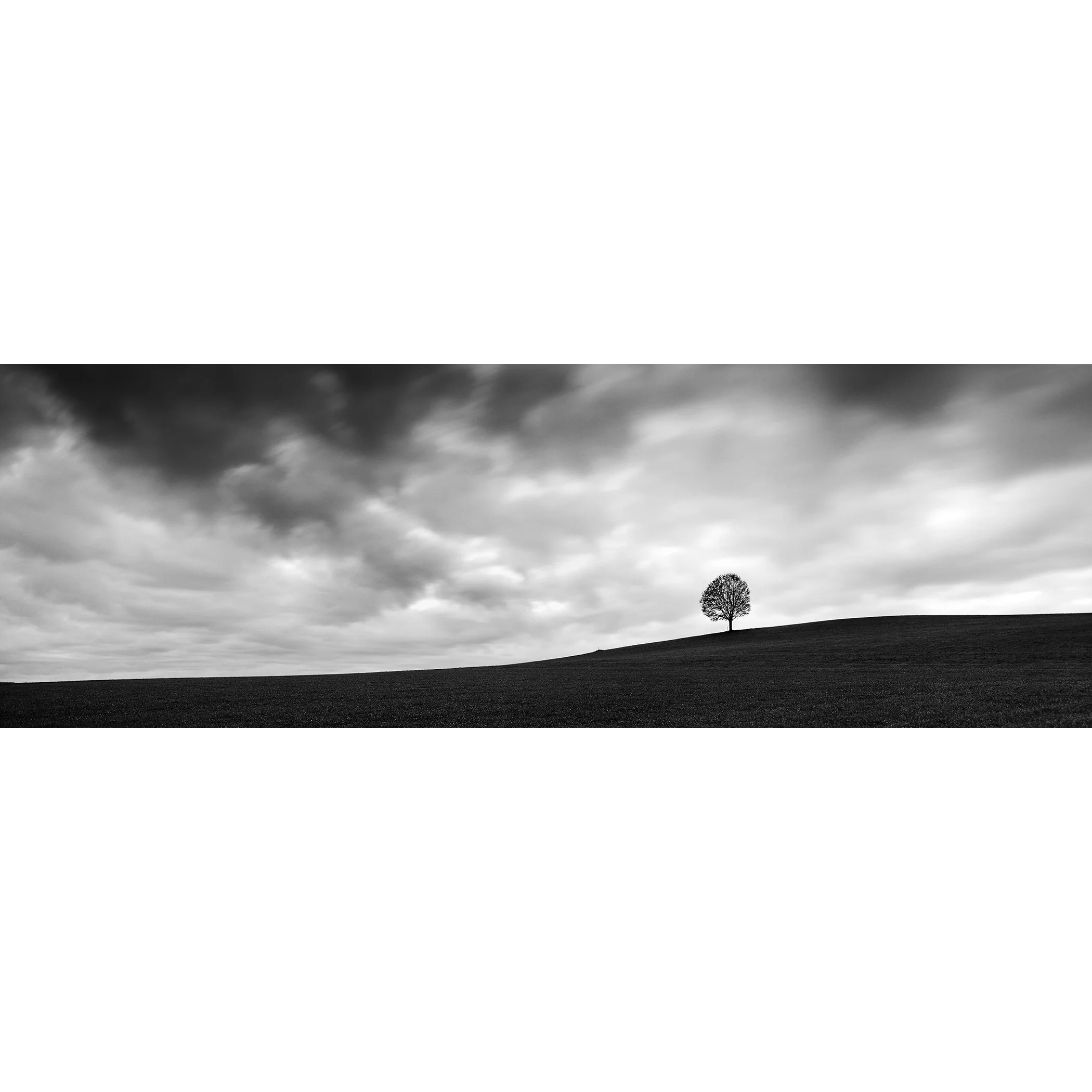 Gerald Berghammer - Black and white panorama landscape photography. A cloudy sky over a hill on a farmland with a single tree on the horizon.