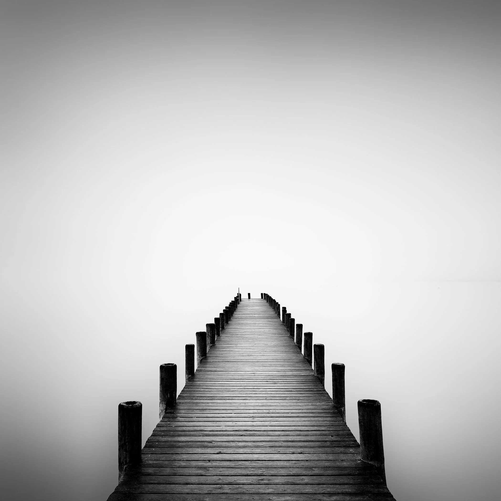 Minimalist black-and-white photograph of a wooden pier leading into mist on Lake Neusiedl