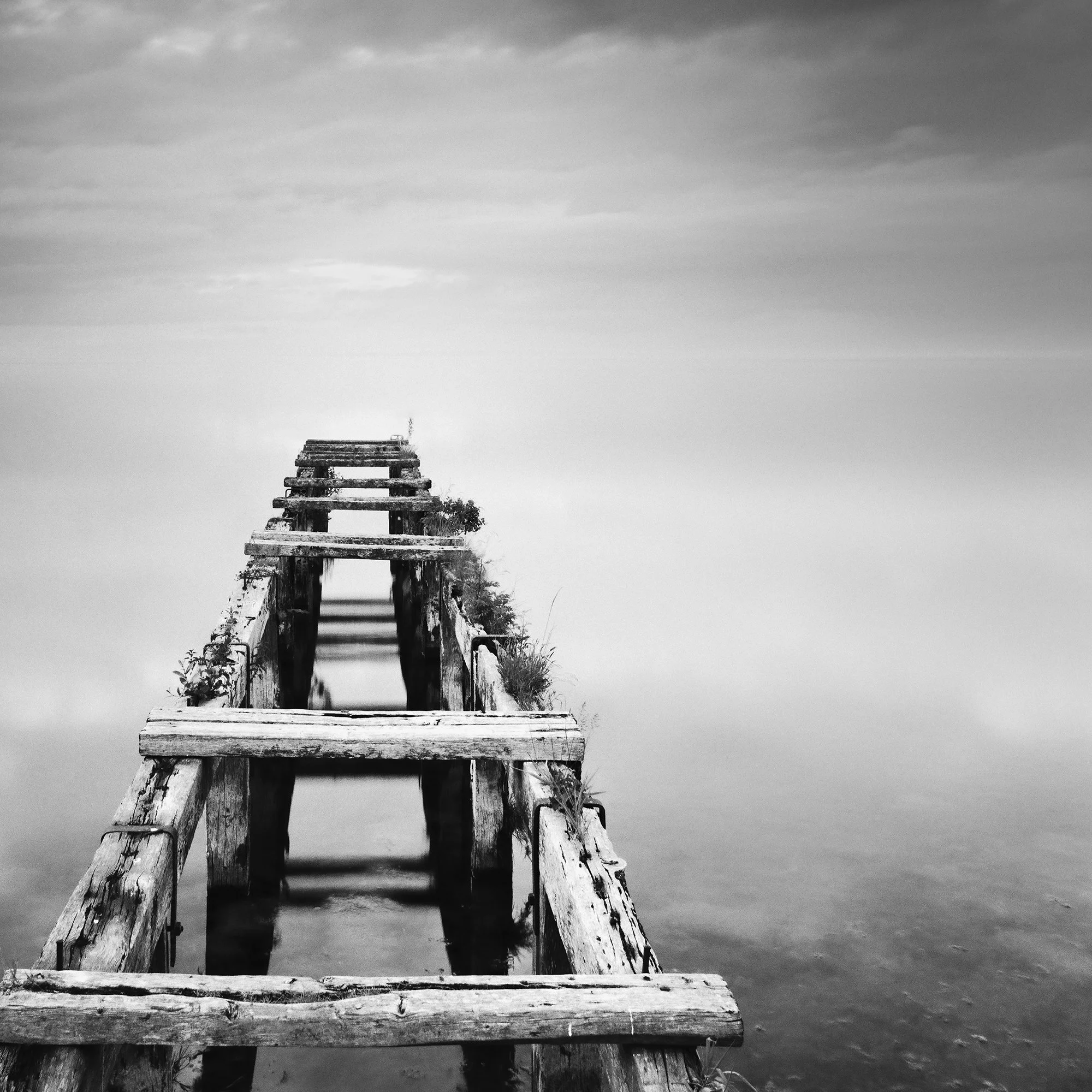 Gerald Berghammer - Black and white waterscape photography. An old abandoned wooden dock extending into a calm body of water under a cloudy sky. Print detail 2