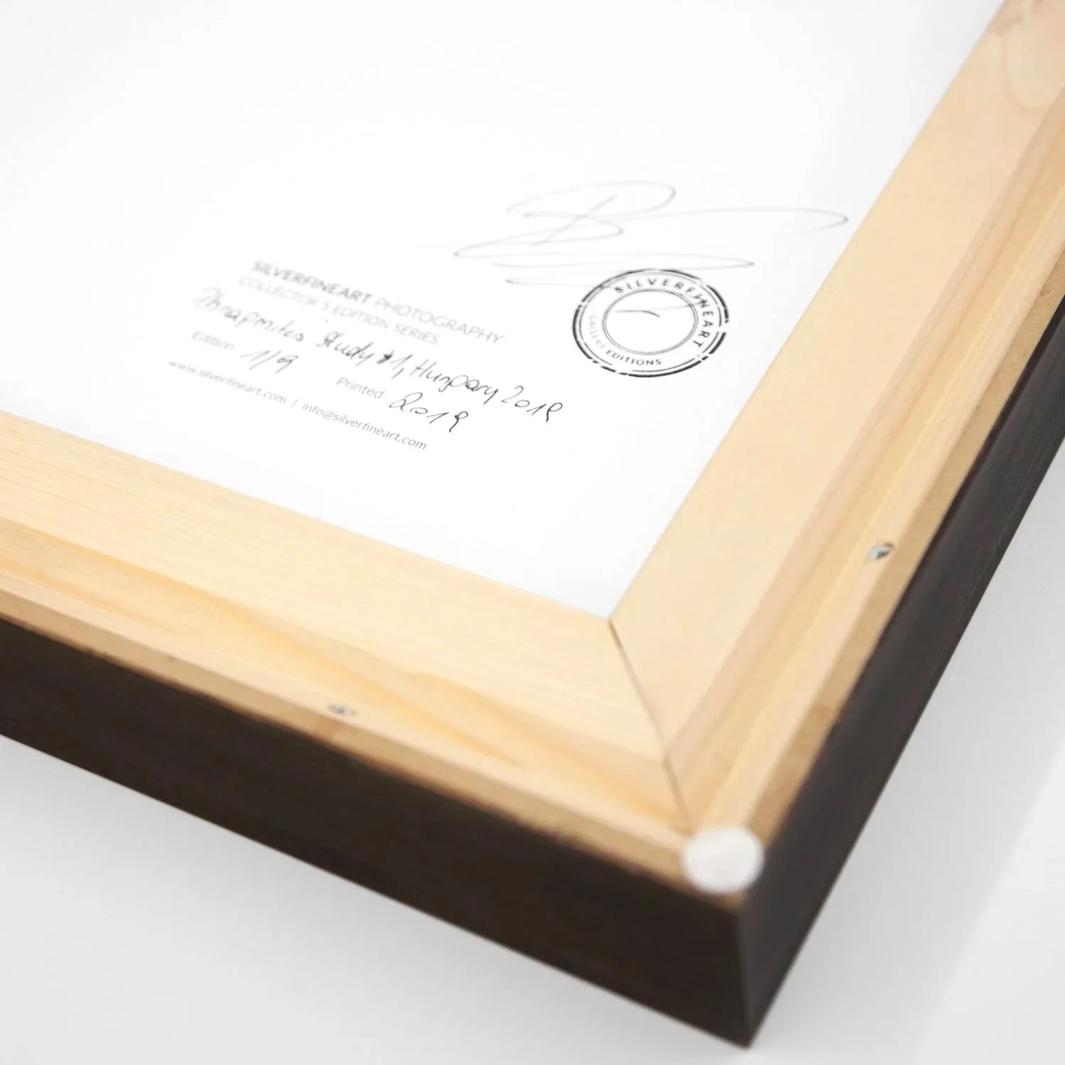 Detail of the wooden frame construction and signed artwork backing with gallery stamp, Phragmites Study 1 – Gerald Berghammer.