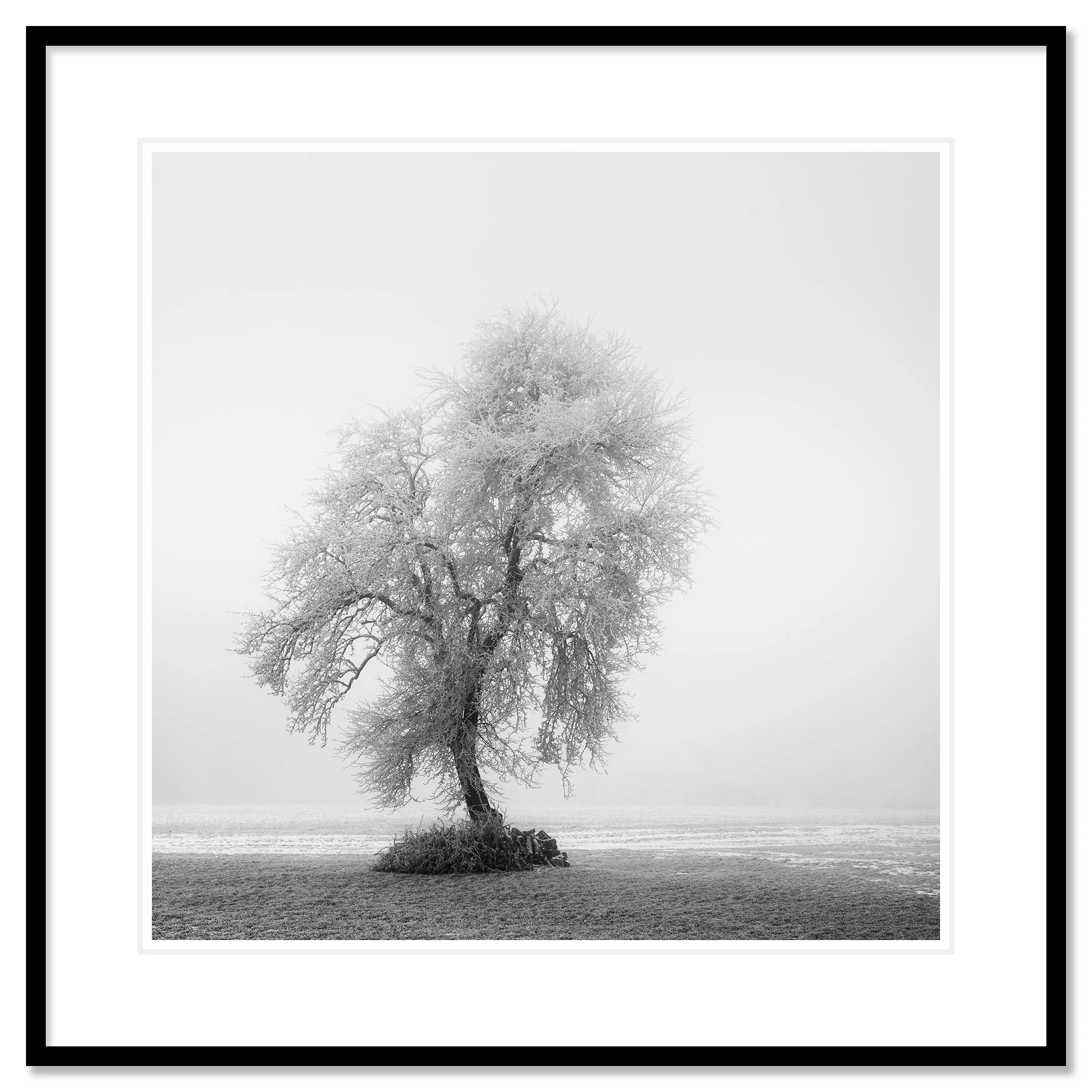 Frozen Farmland Study 2 by Gerald Berghammer, archival pigment print in a black aluminium frame with a white mount.