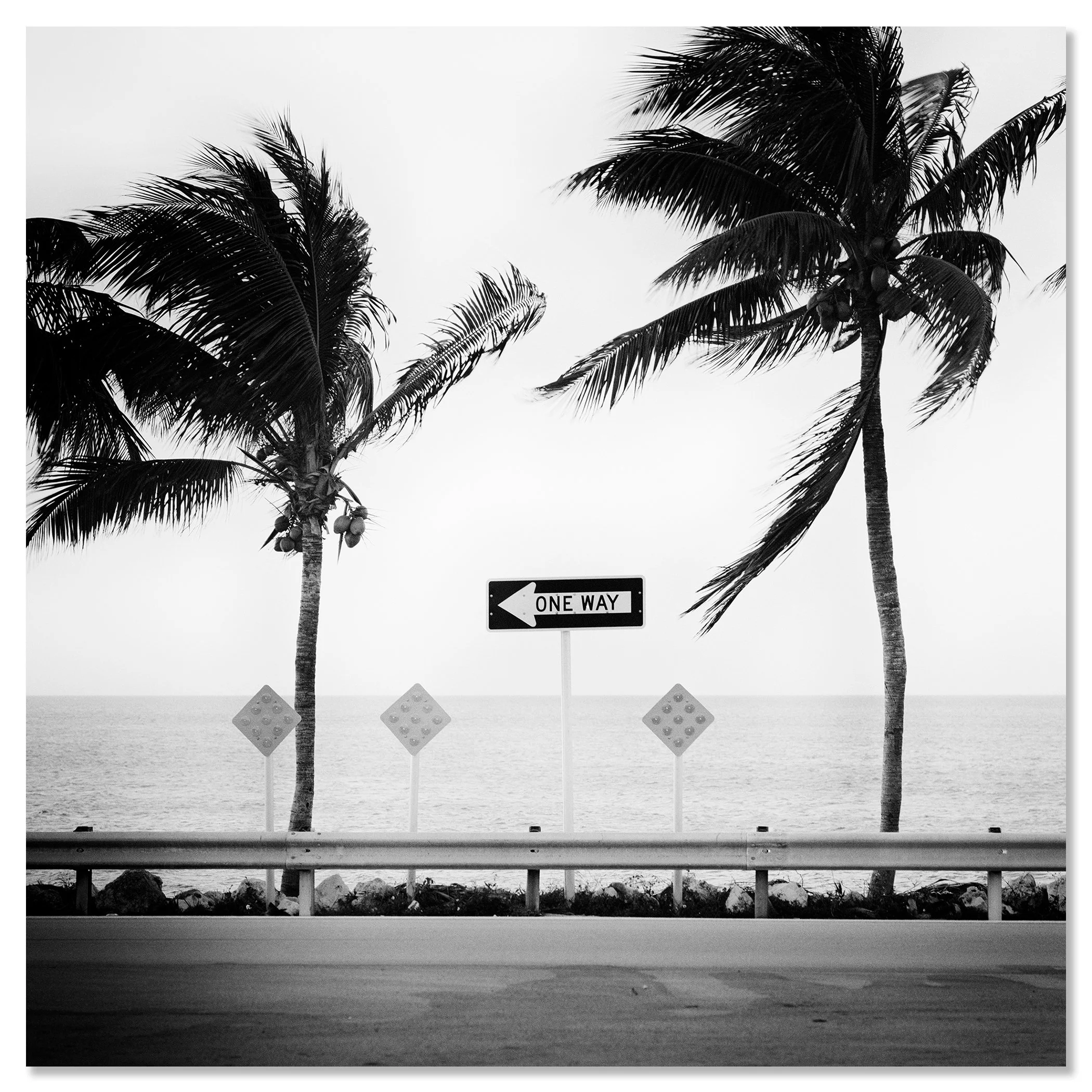 ONE WAY by Gerald Berghammer, black-and-white photograph mounted on frameless aluminium Dibond.