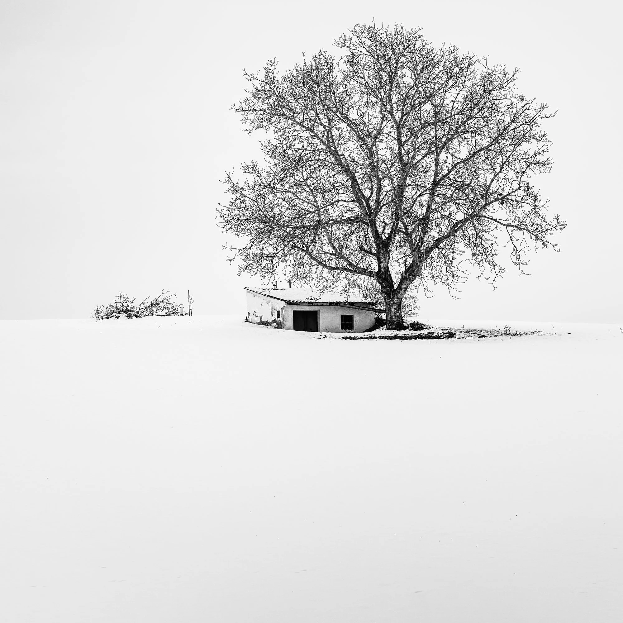 Detail of Wine Press House Winter Study 2 showing the bare tree and rural hut in a snowy Austrian landscape.